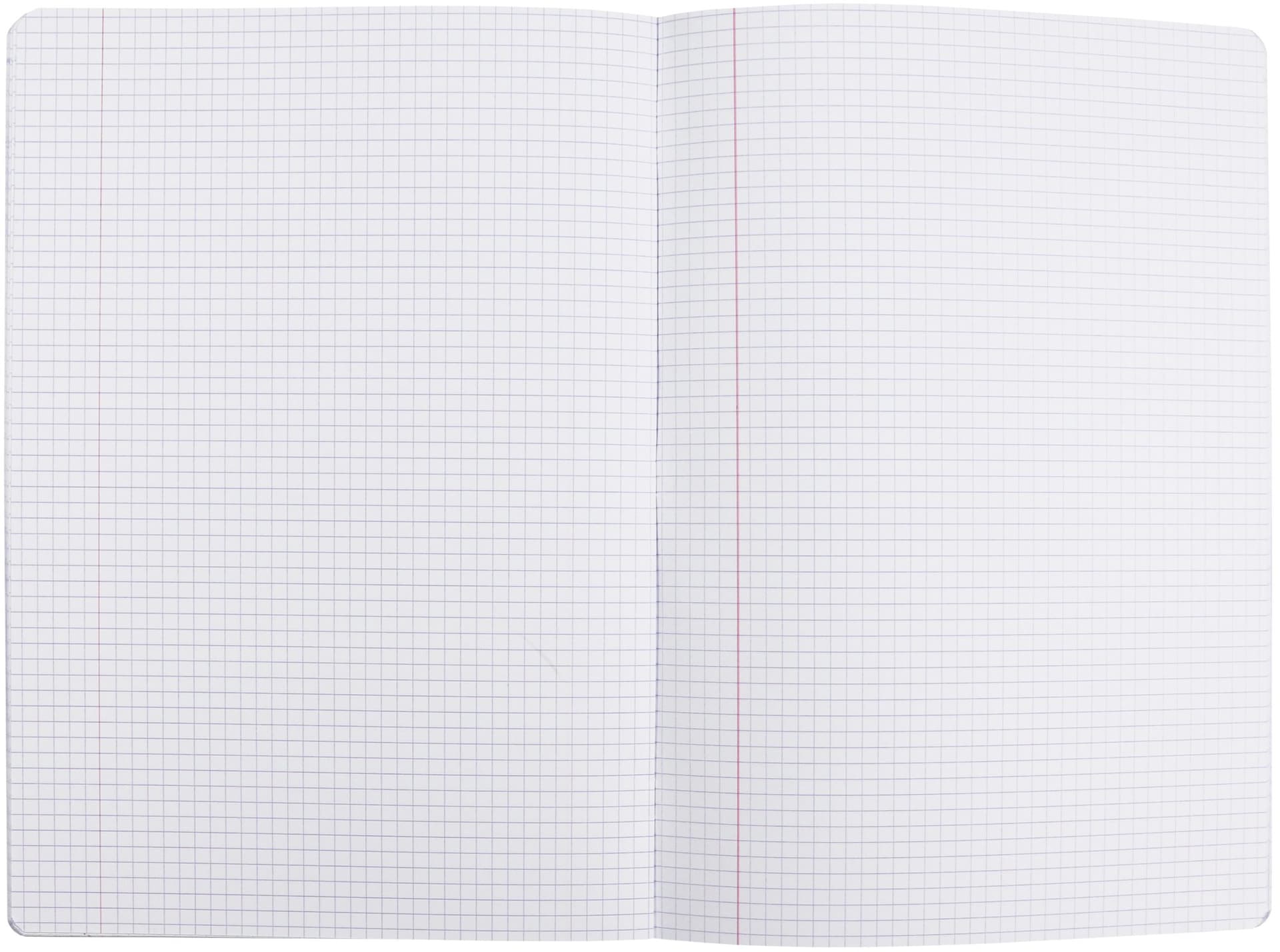 Schrift Oxford School A4 ruit 5x5mm 72 pagina's 80gr assorti 6