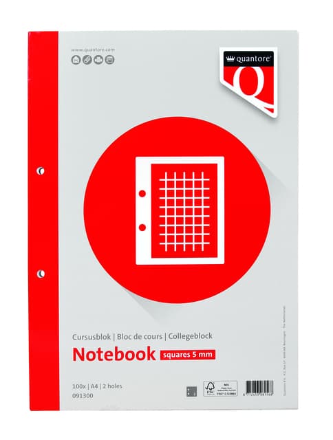 Cursusblok Quantore A4 ruit 5mm met kantlijn 200 pagina's 80gr