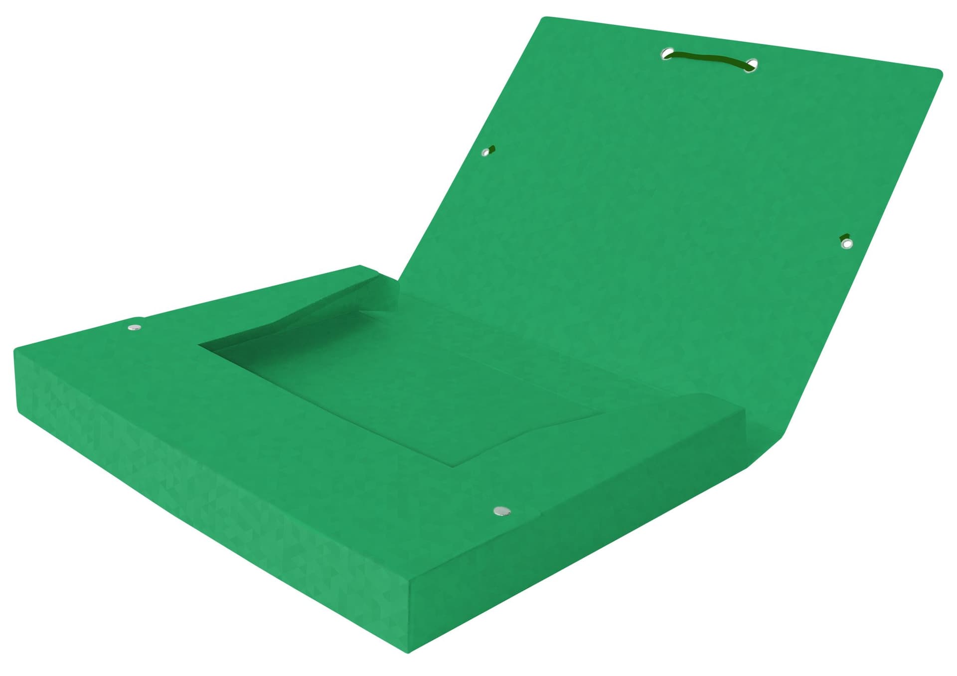 Elastobox Oxford Top File+ A4 40mm groen 2