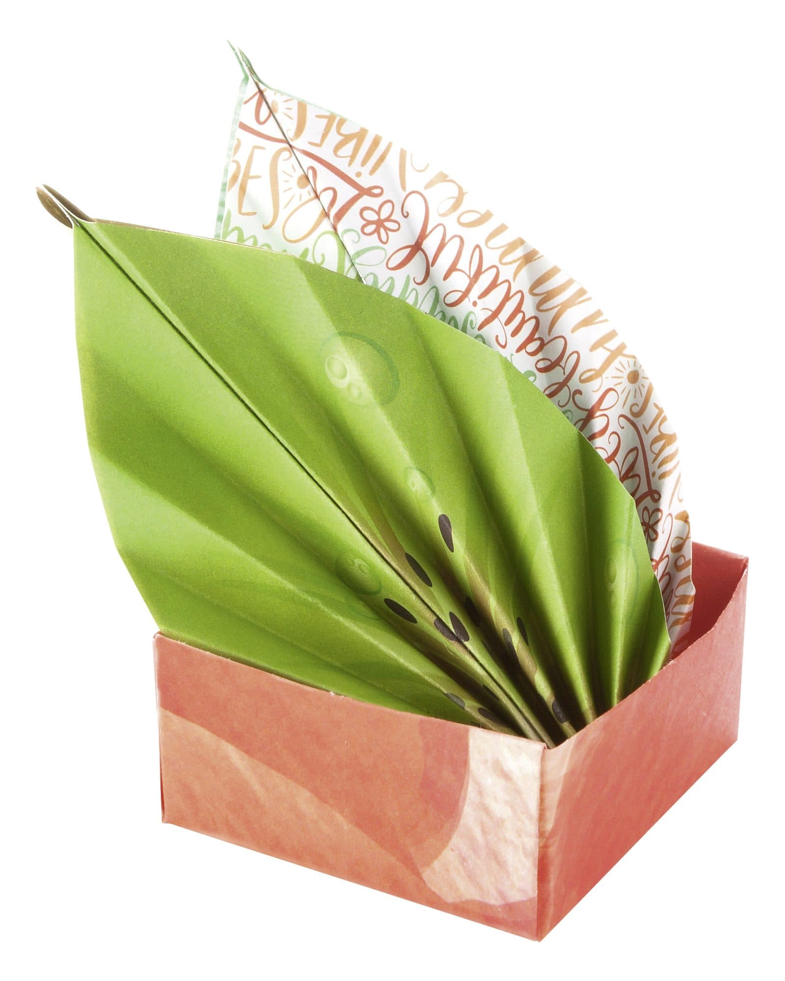 Vouwblaadjes Folia 80gr 15x15cm 50 vel 2-zijdig 10 tropical designs 3