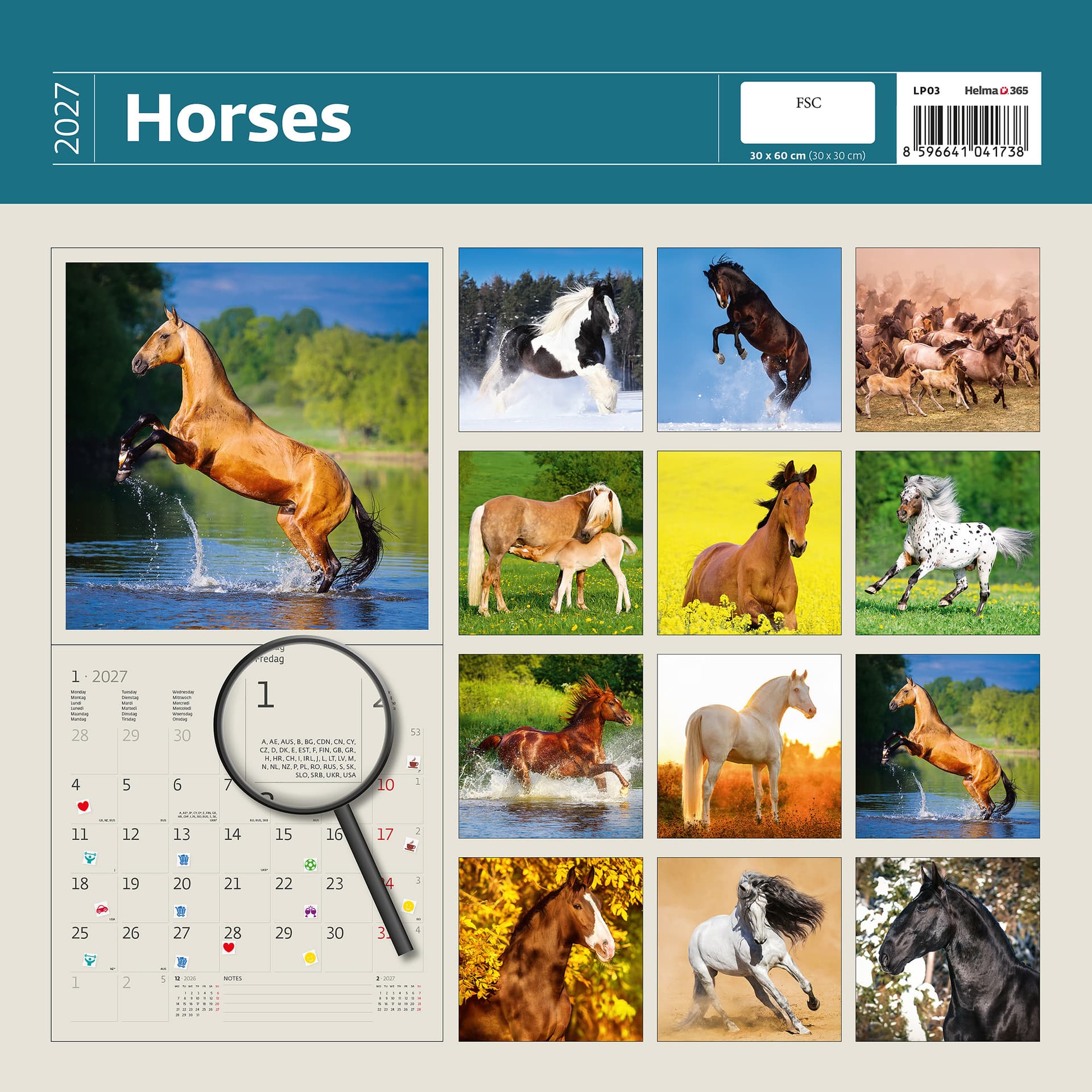 Kalender 2027 Helma 365 30x30cm paarden 2