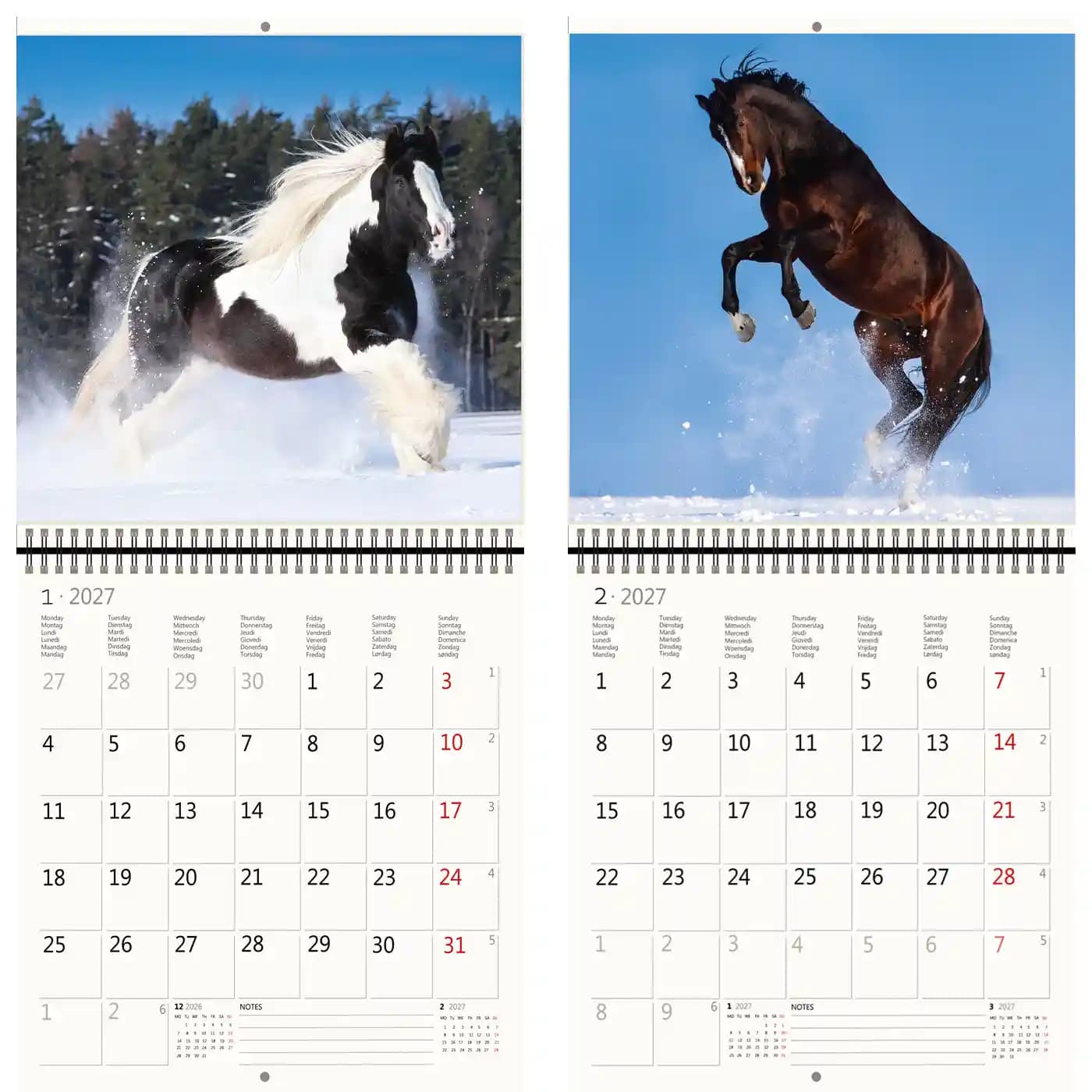Kalender 2027 Helma 365 30x30cm paarden 3