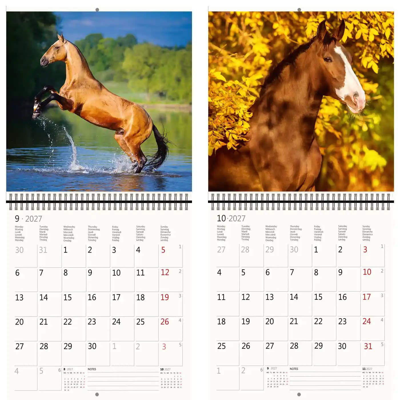 Kalender 2027 Helma 365 30x30cm paarden 4