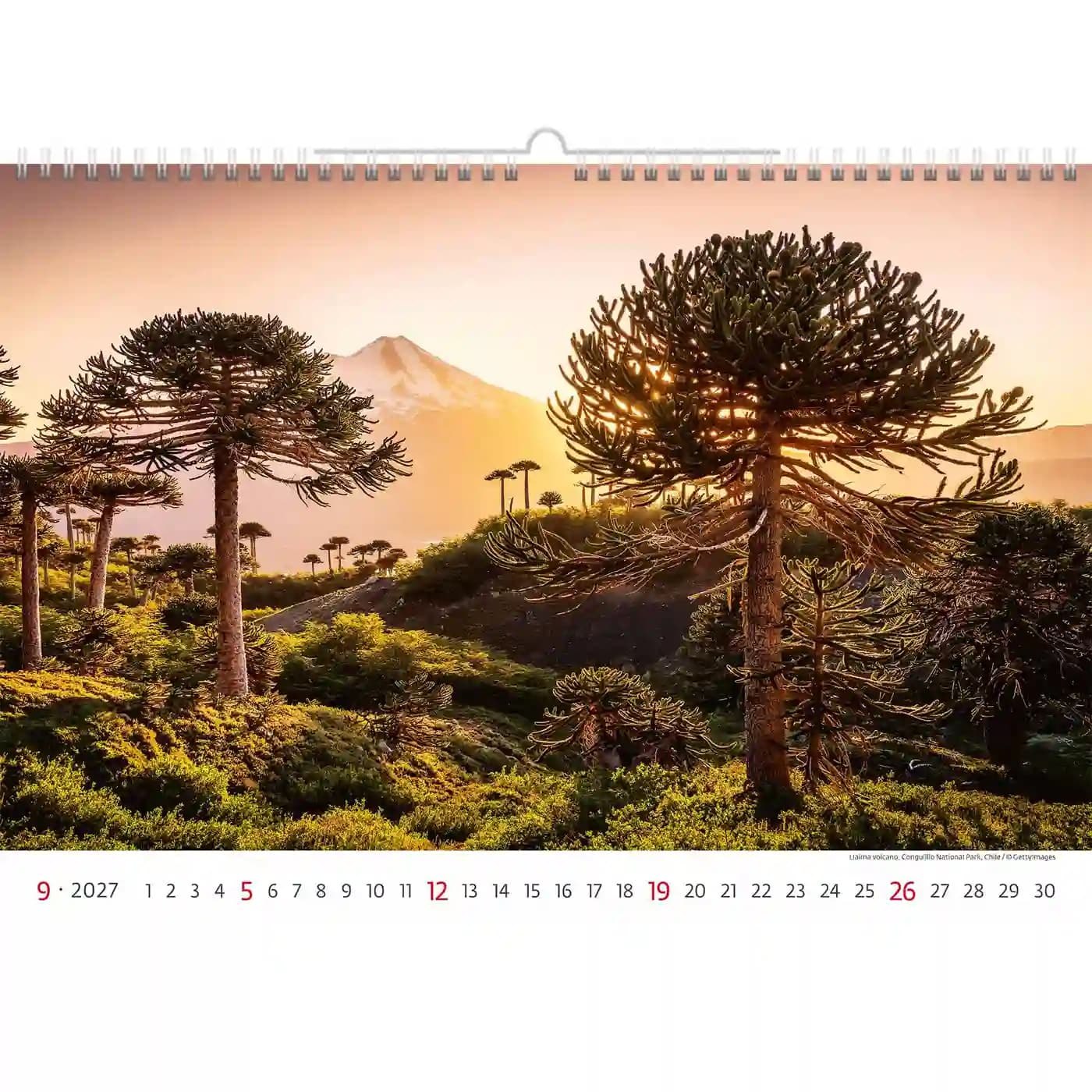 Kalender 2027 Helma 365 31.5x45cm Nationale parken 4