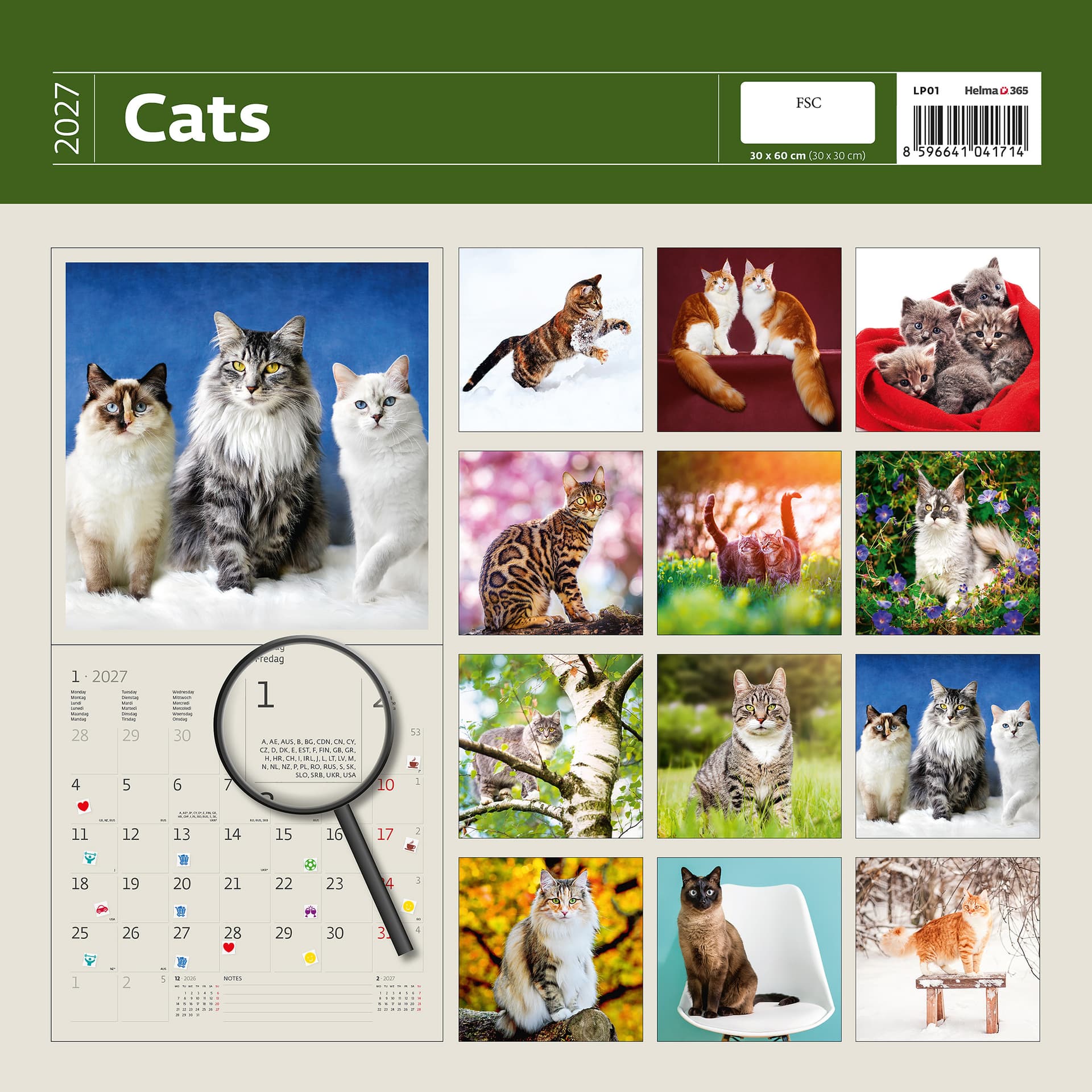 Kalender 2027 Helma 365 30x30cm katten 2