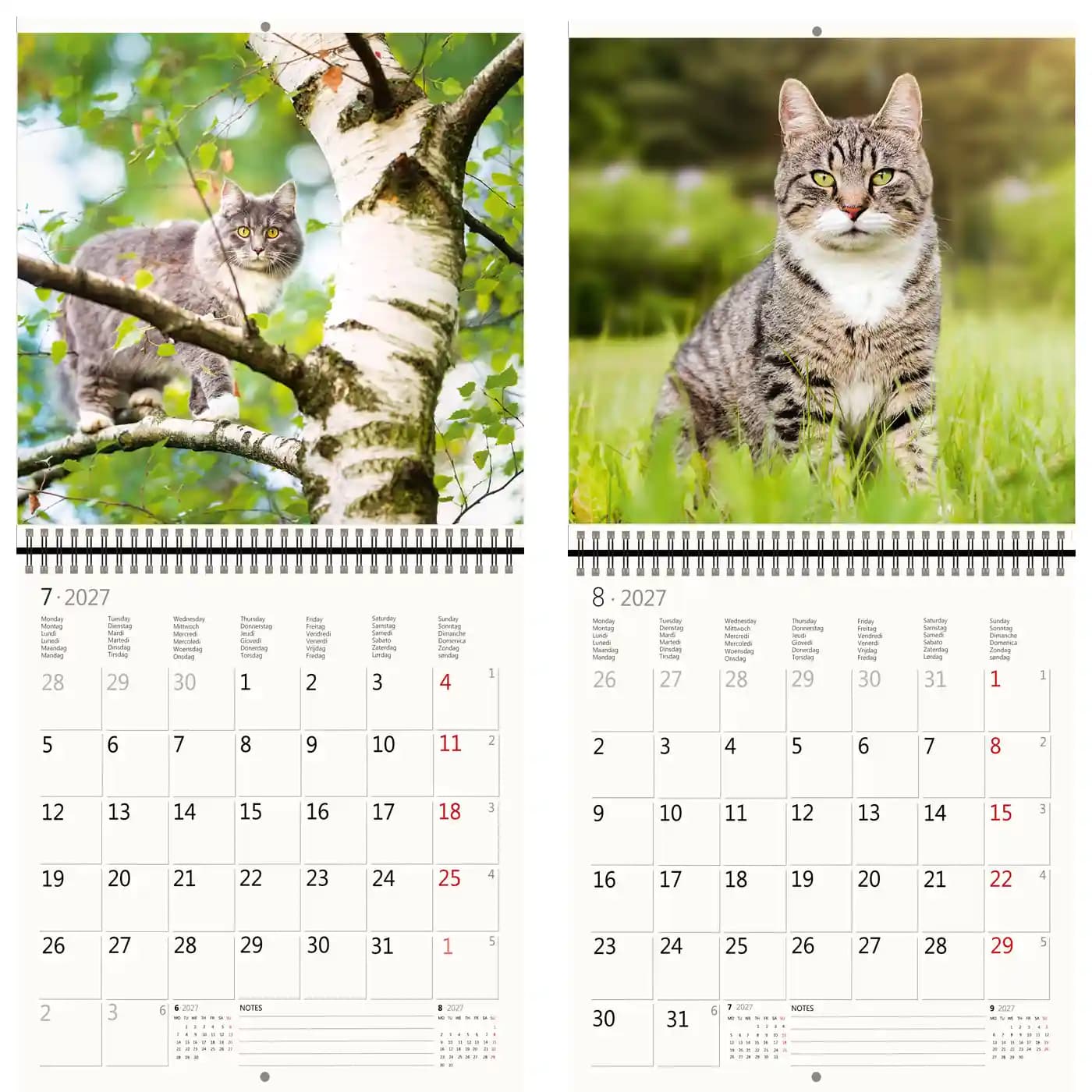 Kalender 2027 Helma 365 30x30cm katten 3