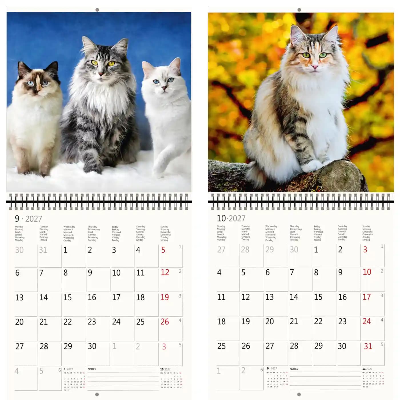 Kalender 2027 Helma 365 30x30cm katten 4