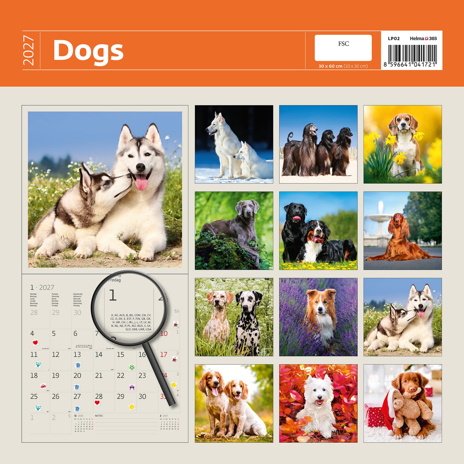 Kalender 2027 Helma 365 30x30cm honden 2