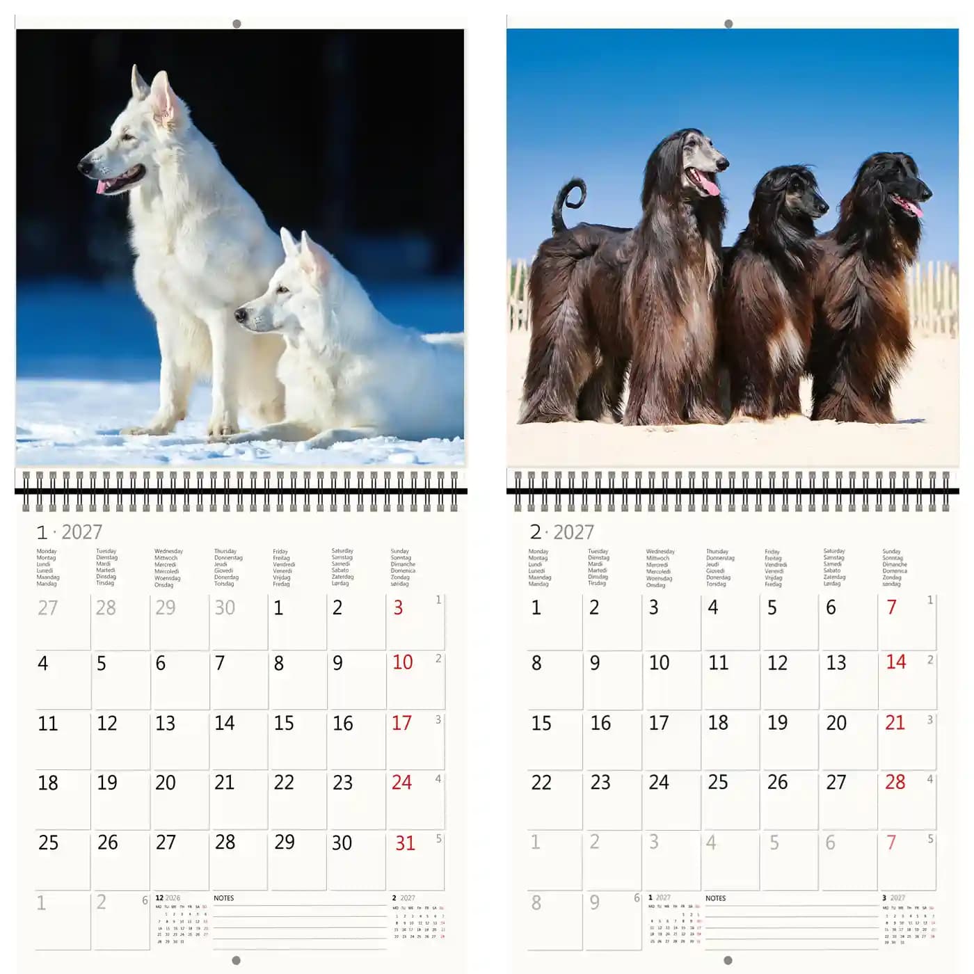 Kalender 2027 Helma 365 30x30cm honden 3