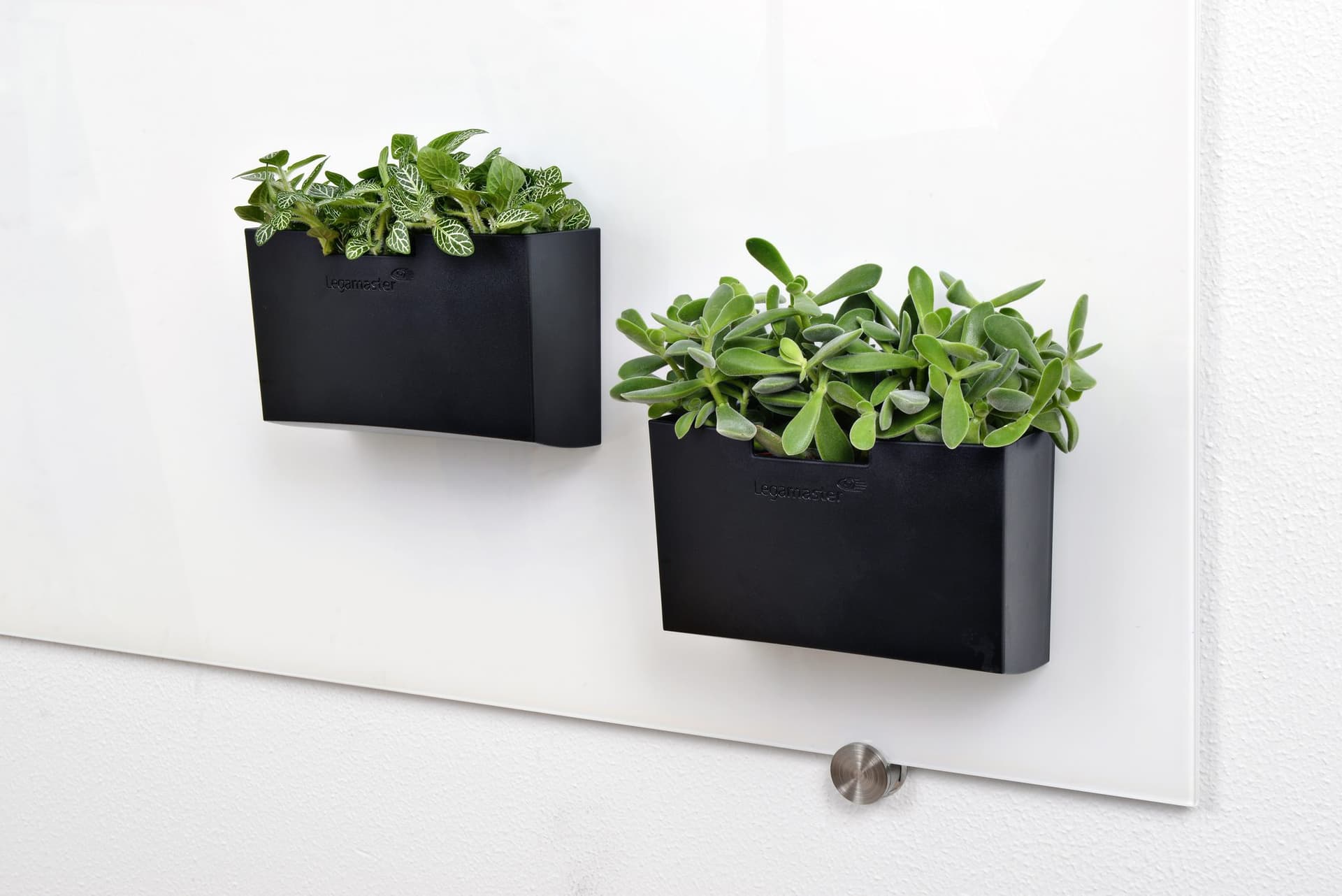 Glasbord accessoirehouder Legamaster zwart 4