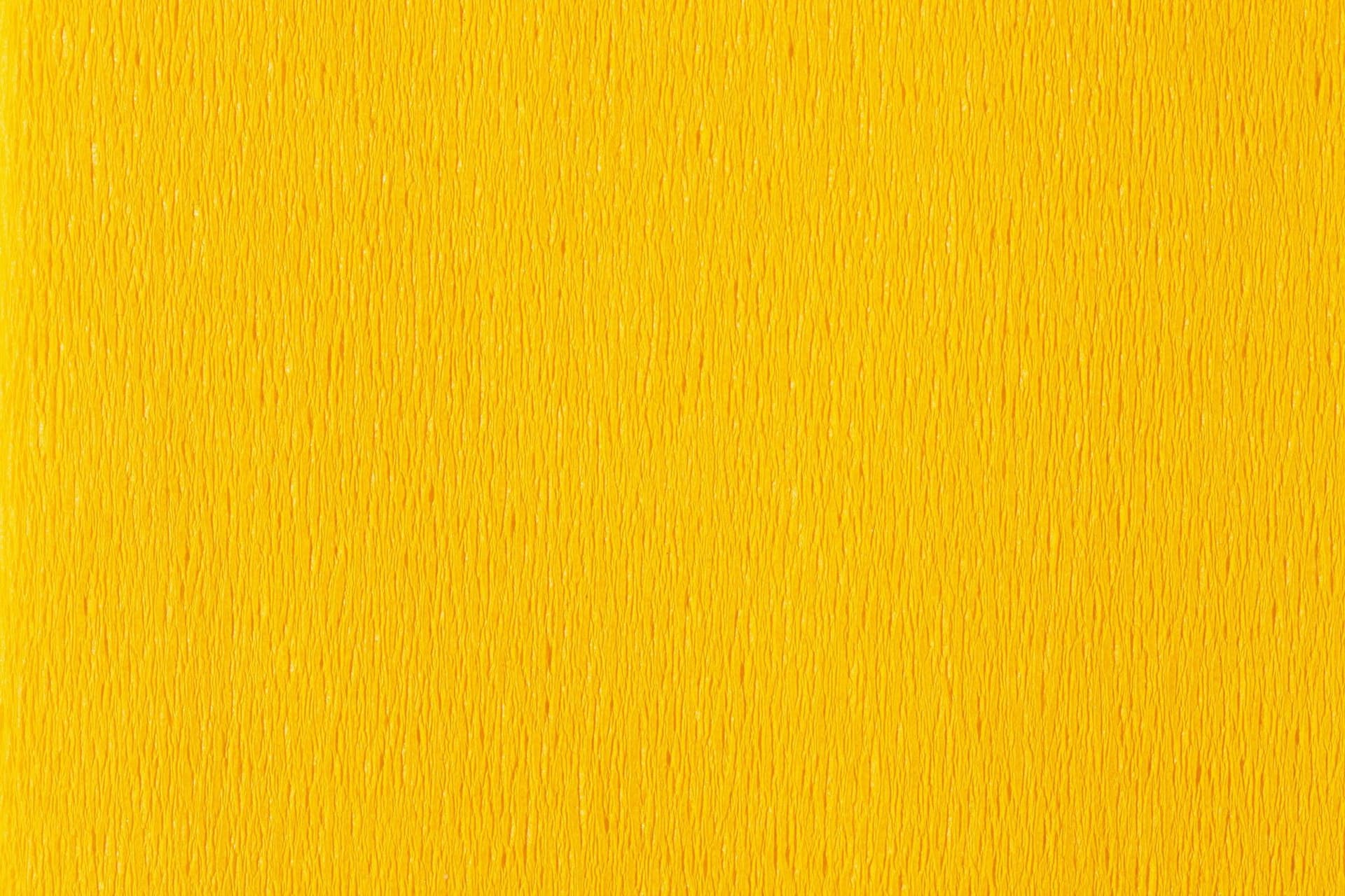 Crêpepapier Folia 50x250cm 10vel 106 geel 2