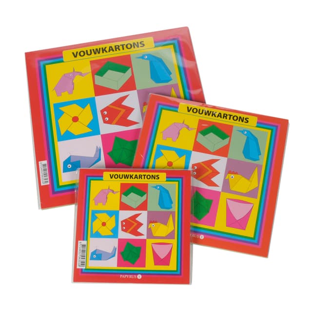 Vouwkartons vierkant 16x16cm 105gram assorti 40 vel 3