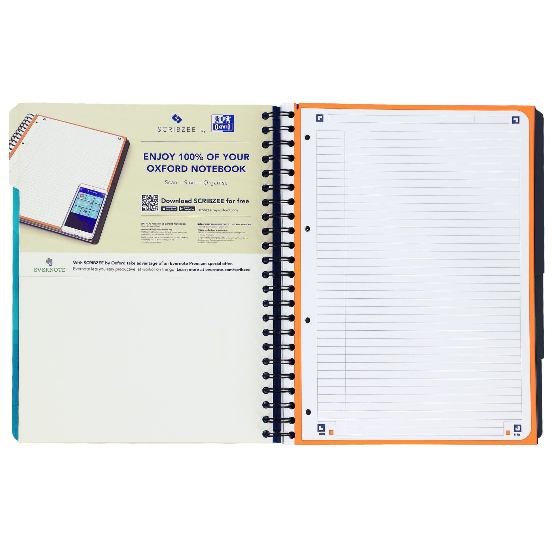 Projectboek Oxford School A4+ lijn 4-gaats 240 pagina's 80gr aqua 5