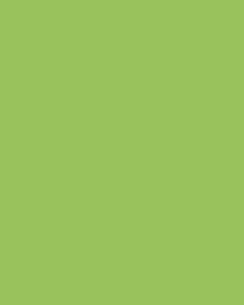 Etalagekarton Folia 1-zijdig 48x68cm 380gr nr941 fluor groen