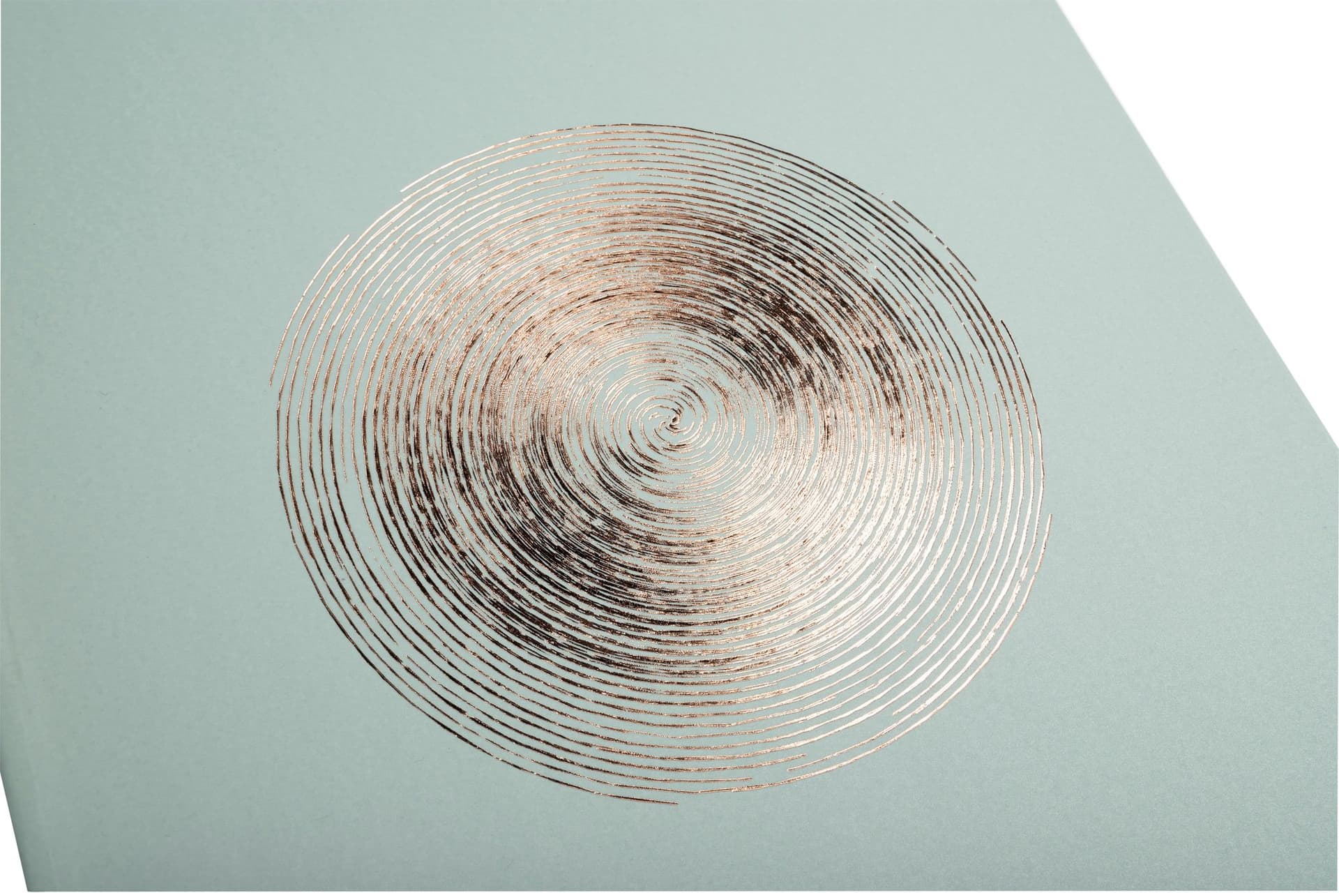 Fotoalbum Exacompta 29x32cm 60 witte pagina's Ellipse groen 3