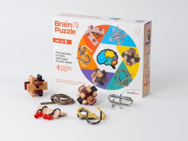 Brain Puzzles - set of 6