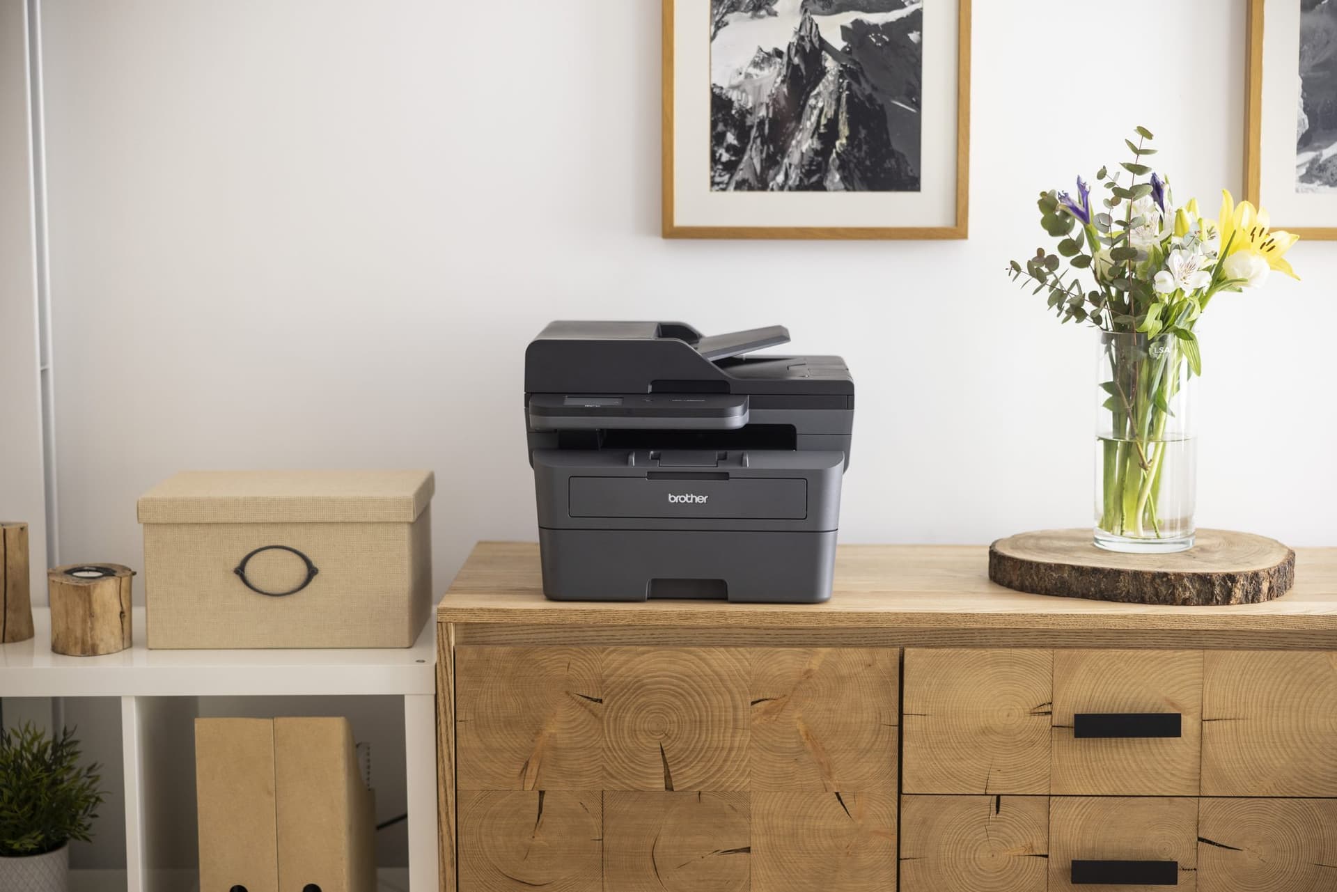Multifunctional Laser printer Brother MFC-L2860DWE 4