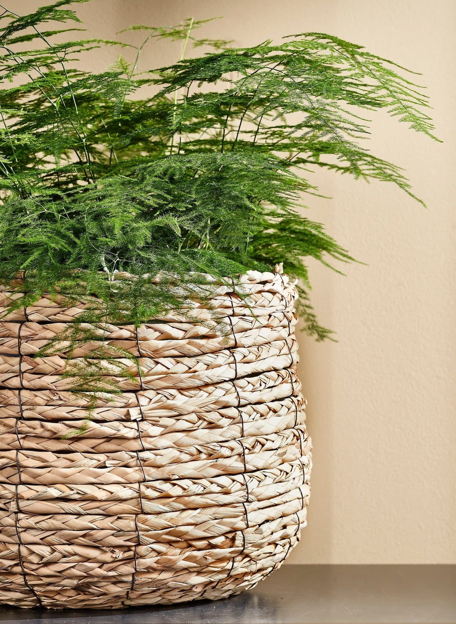 Plantenmand Mica Avalon zeegras rond 31x30cm lichtbruin 4