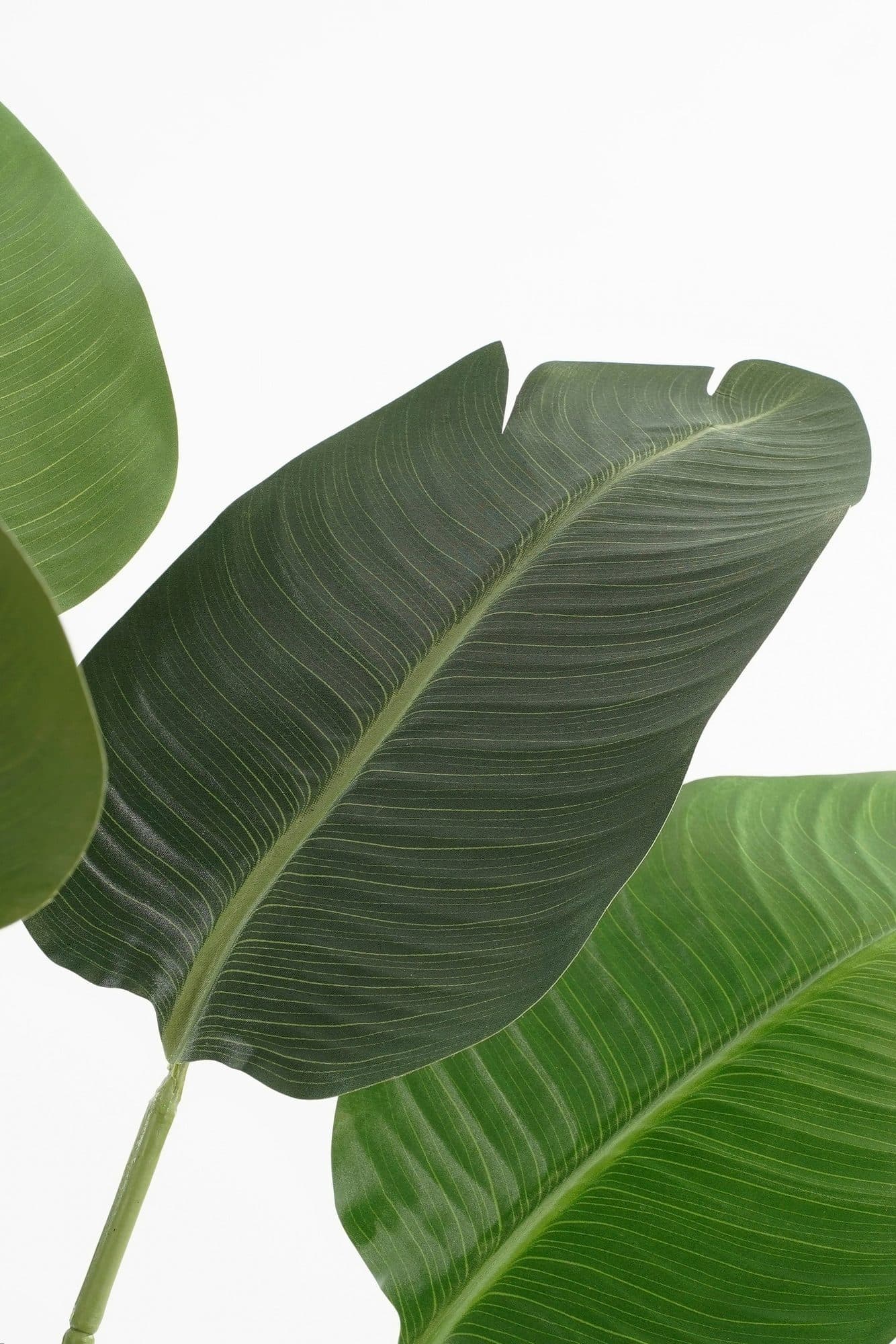 Kunstplant Mica Bananen boom in plastic pot 180x30cm 3
