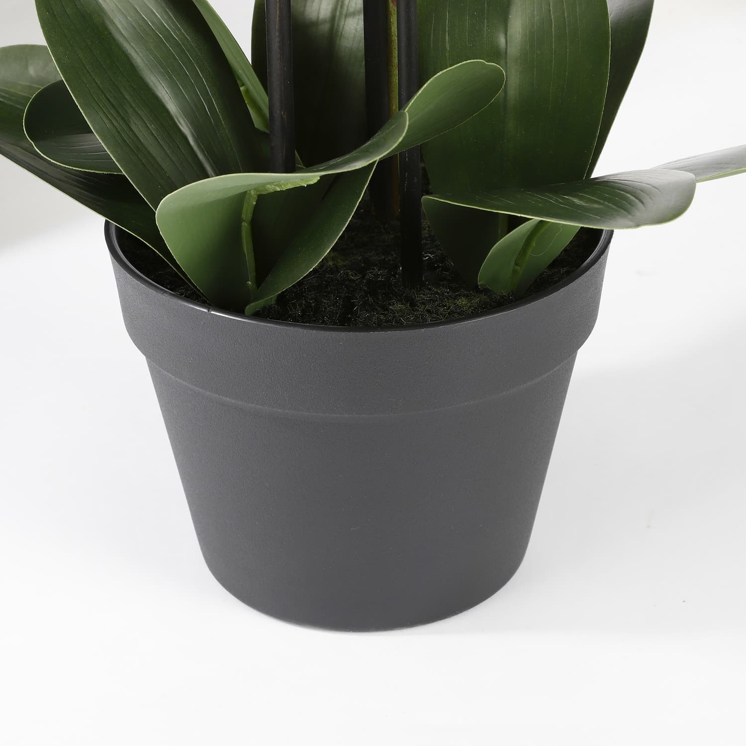 Kunstplant Mica Phalaenopsis orchideeën wit in plastic pot 79x51cm 3