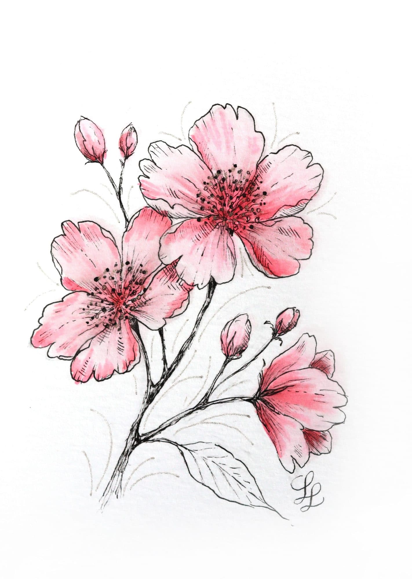 Tekenset Sakura Creative Kit Cherry Blossom 6 stuks 3