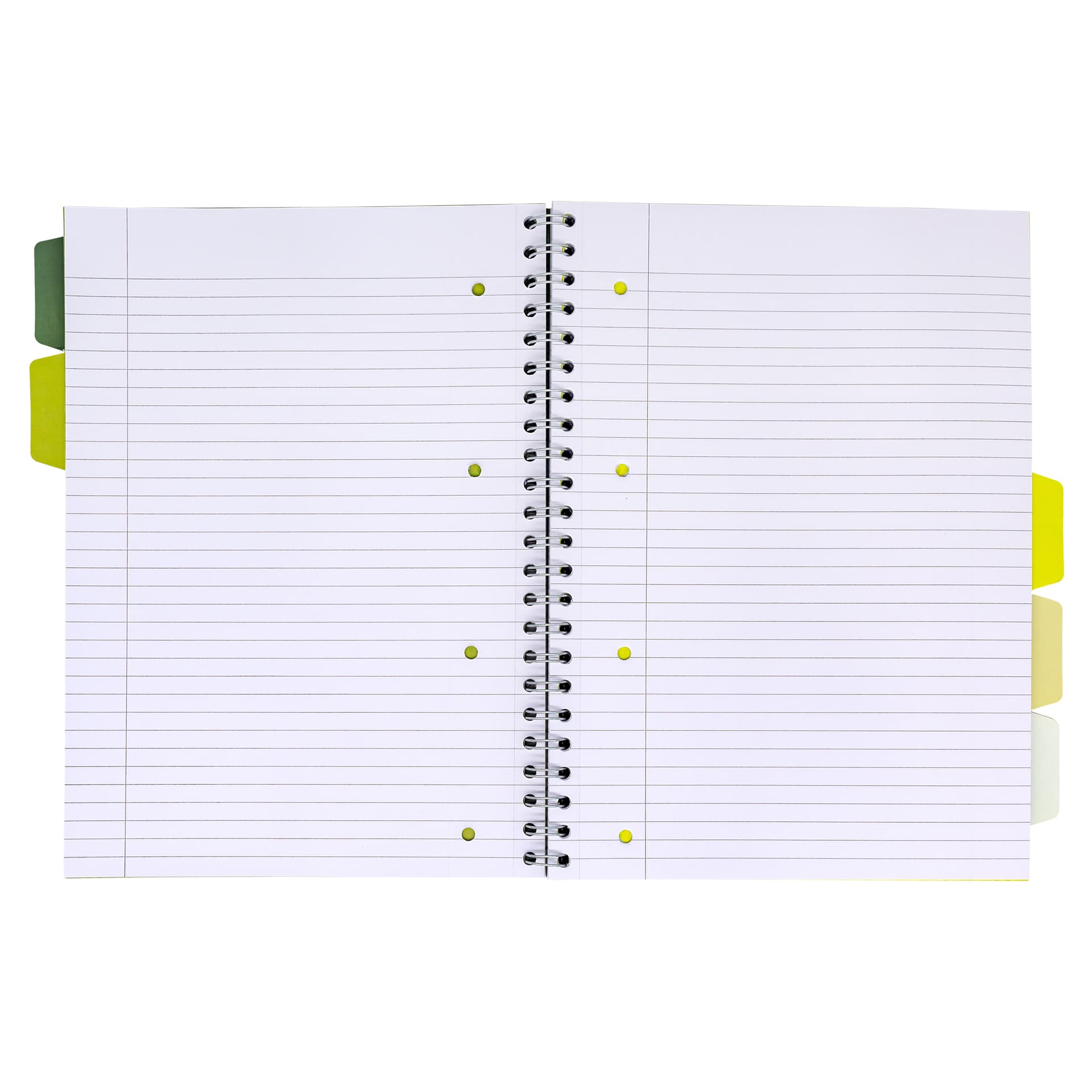 Projectboek Pukka Pad Recycled A4 lijn 5-tabs 4-gaats 200 pagina's 80gr groen 2