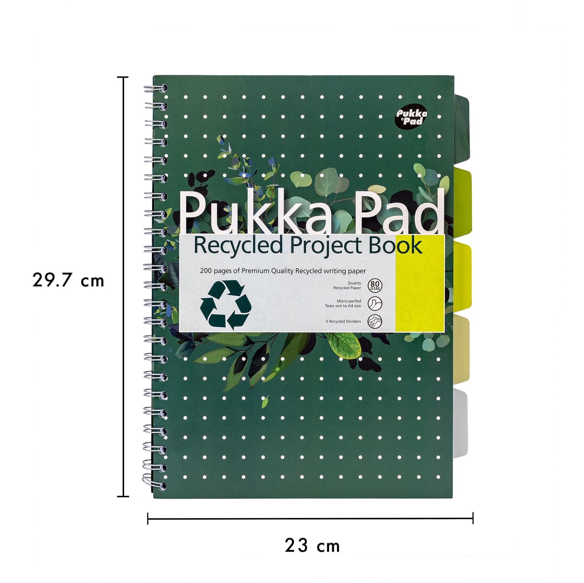 Projectboek Pukka Pad Recycled A4 lijn 5-tabs 4-gaats 200 pagina's 80gr groen 3
