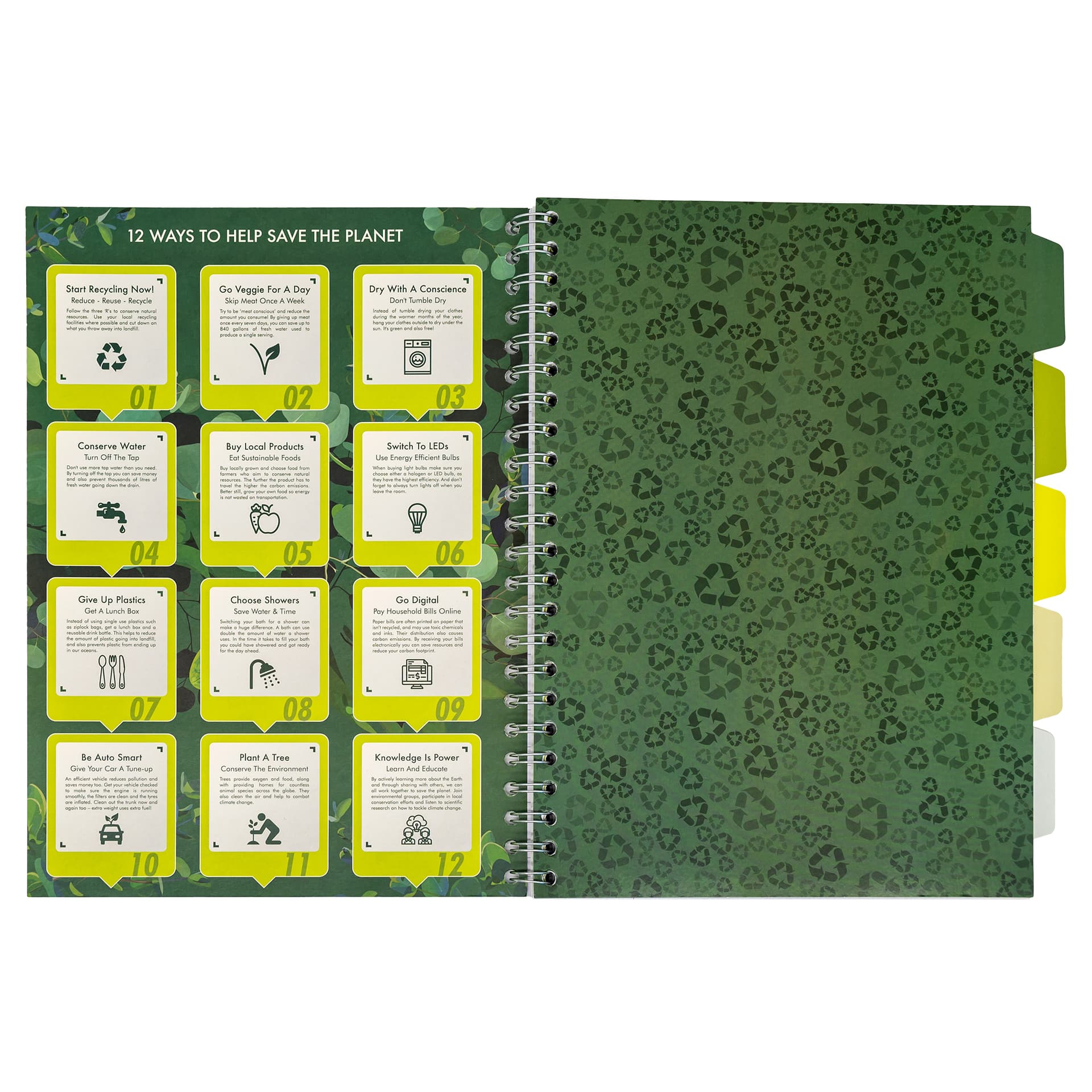 Projectboek Pukka Pad Recycled A4 lijn 5-tabs 4-gaats 200 pagina's 80gr groen 4