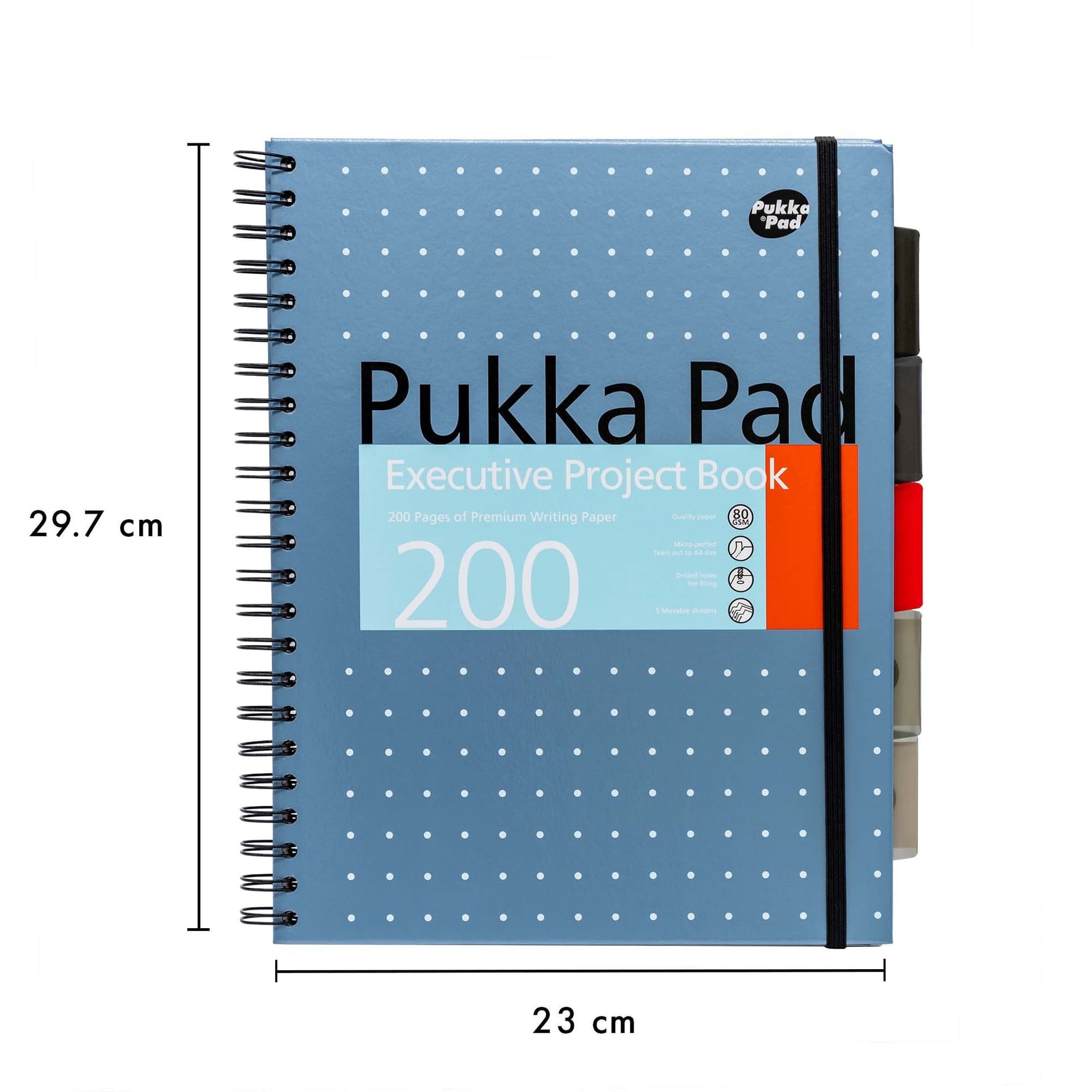 Projectboek Pukka Pad Metallic Executive A4 lijn 5-tabs 4-gaats 200 pagina's 80gr assorti 3