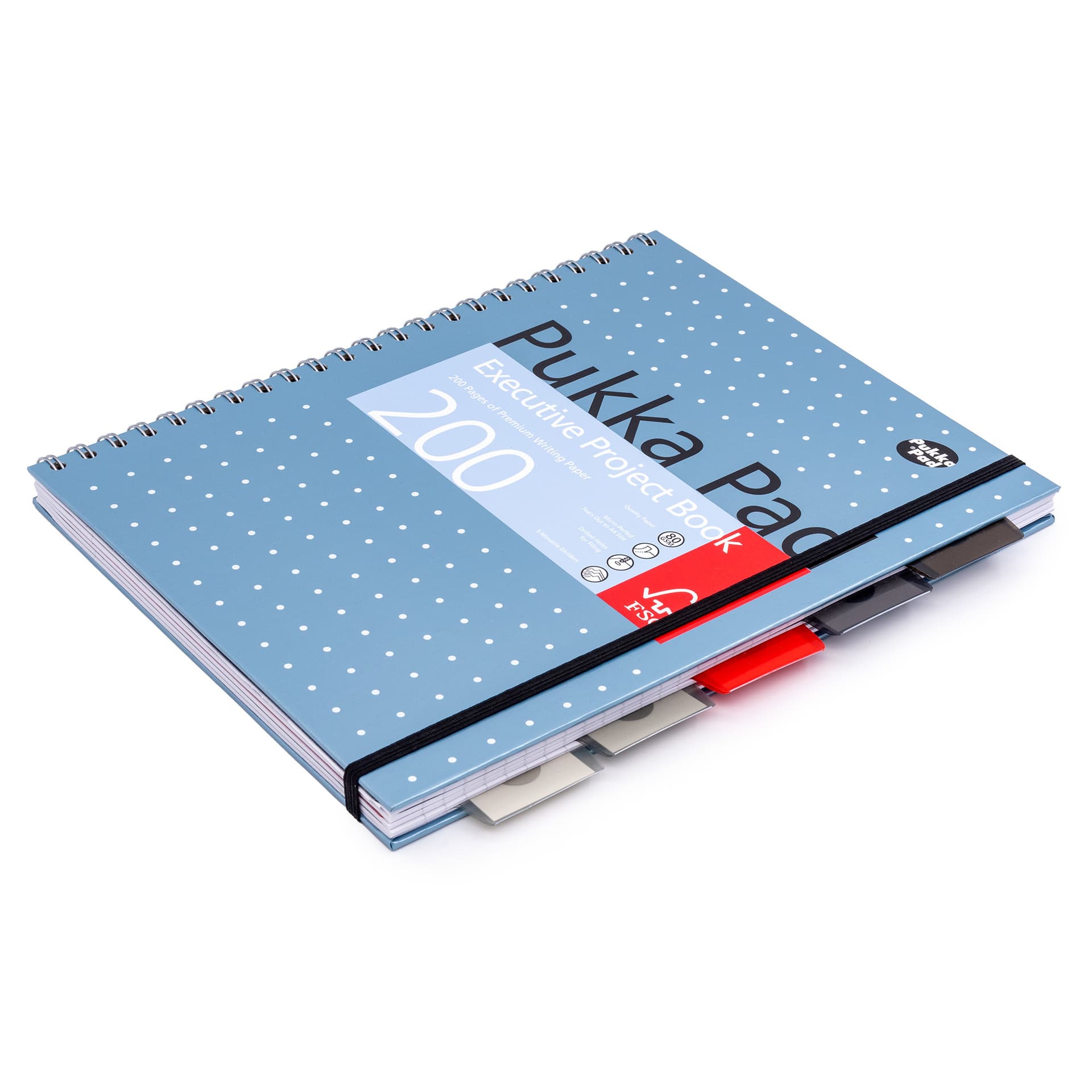 Projectboek Pukka Pad Metallic Executive A4 lijn 5-tabs 4-gaats 200 pagina's 80gr assorti 4