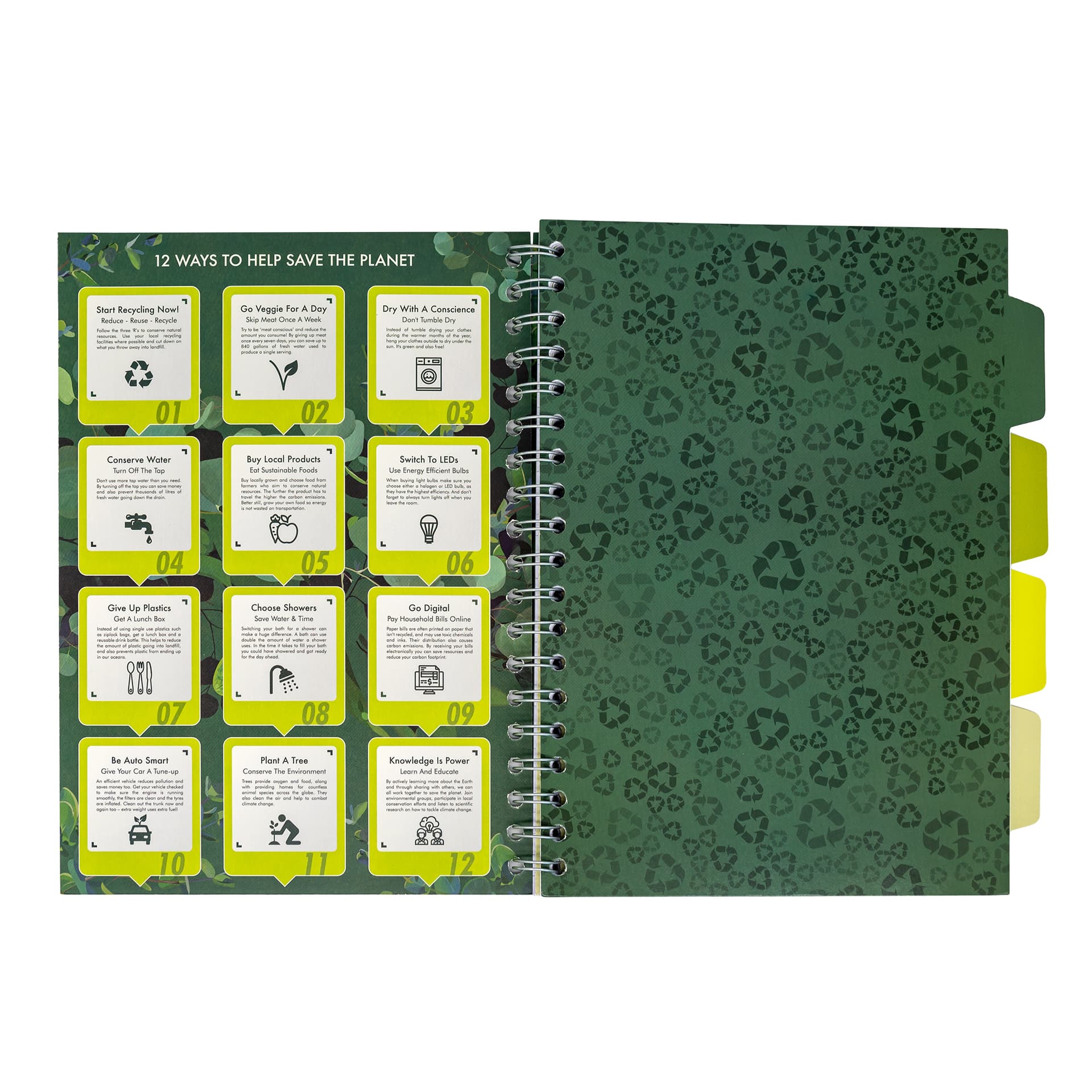 Projectboek Pukka Pad Recycled B5 lijn 4-tabs 200 pagina's 80gr groen 4