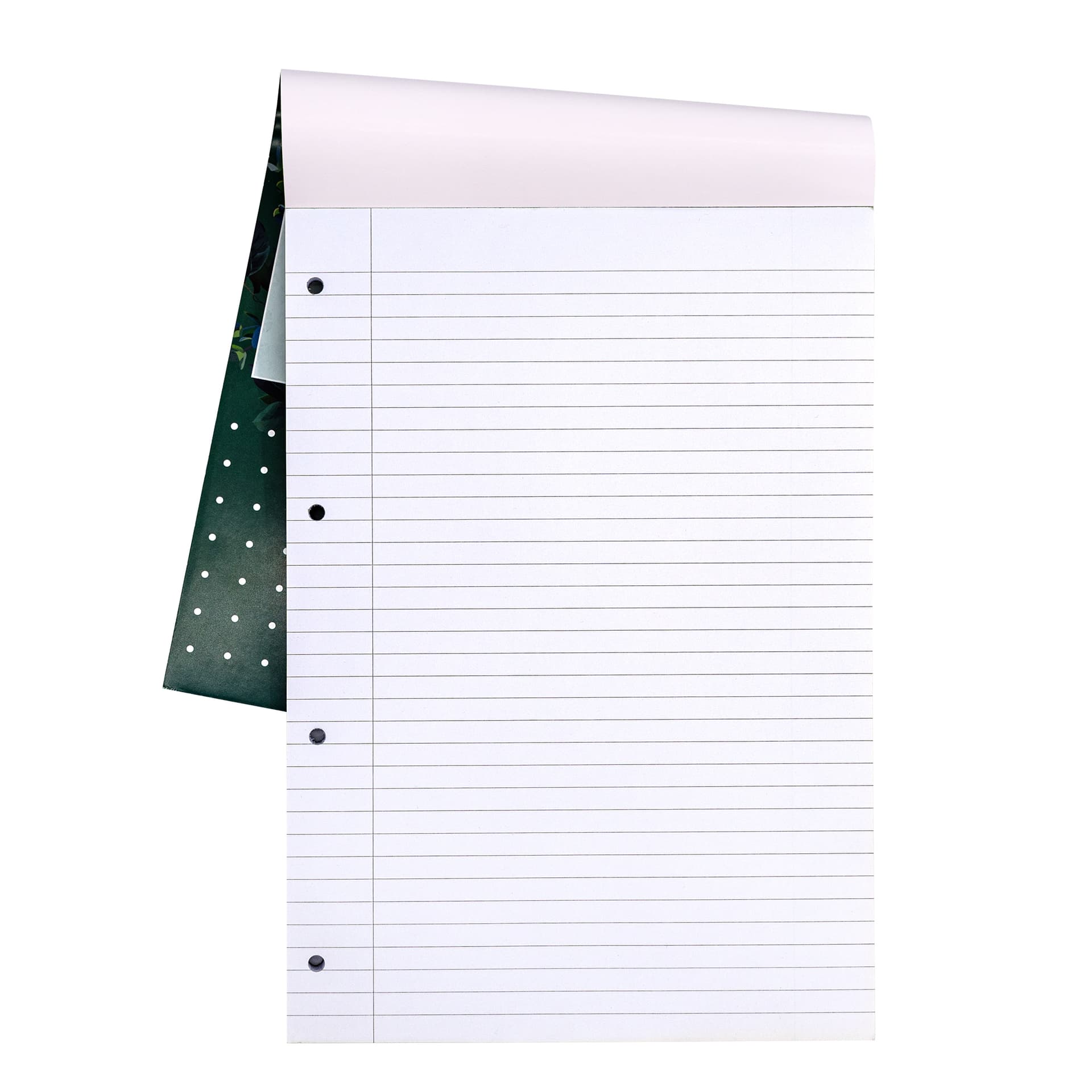 Schrijfblok Pukka Pad Recycled A4 lijn 4-gaats 100 vel 80gr 2