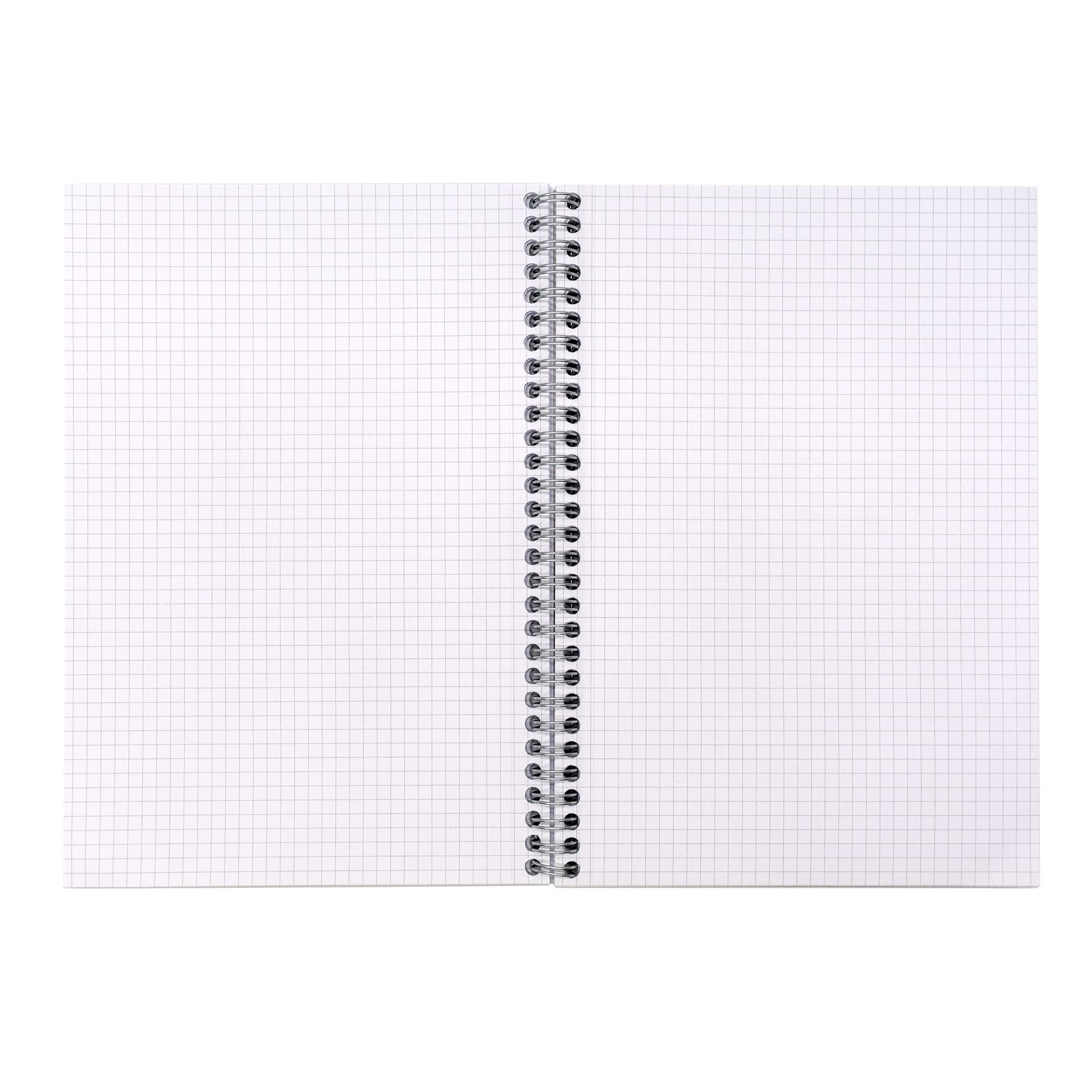Notitieboek Pukka Pad Jotta A5 ruit 5x5mm 110 pagina's 80gr groen 2