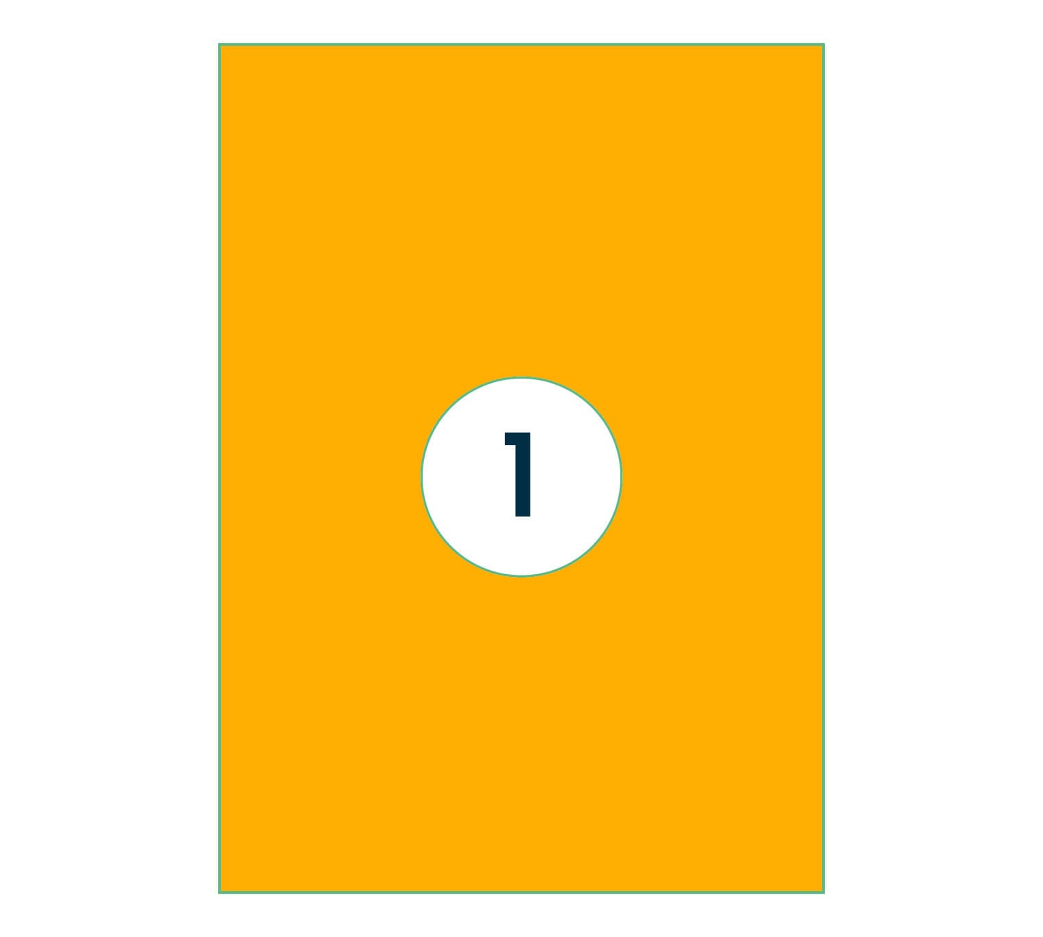 Etiket Rillprint 210x297mm fluor oranje 100 stuks