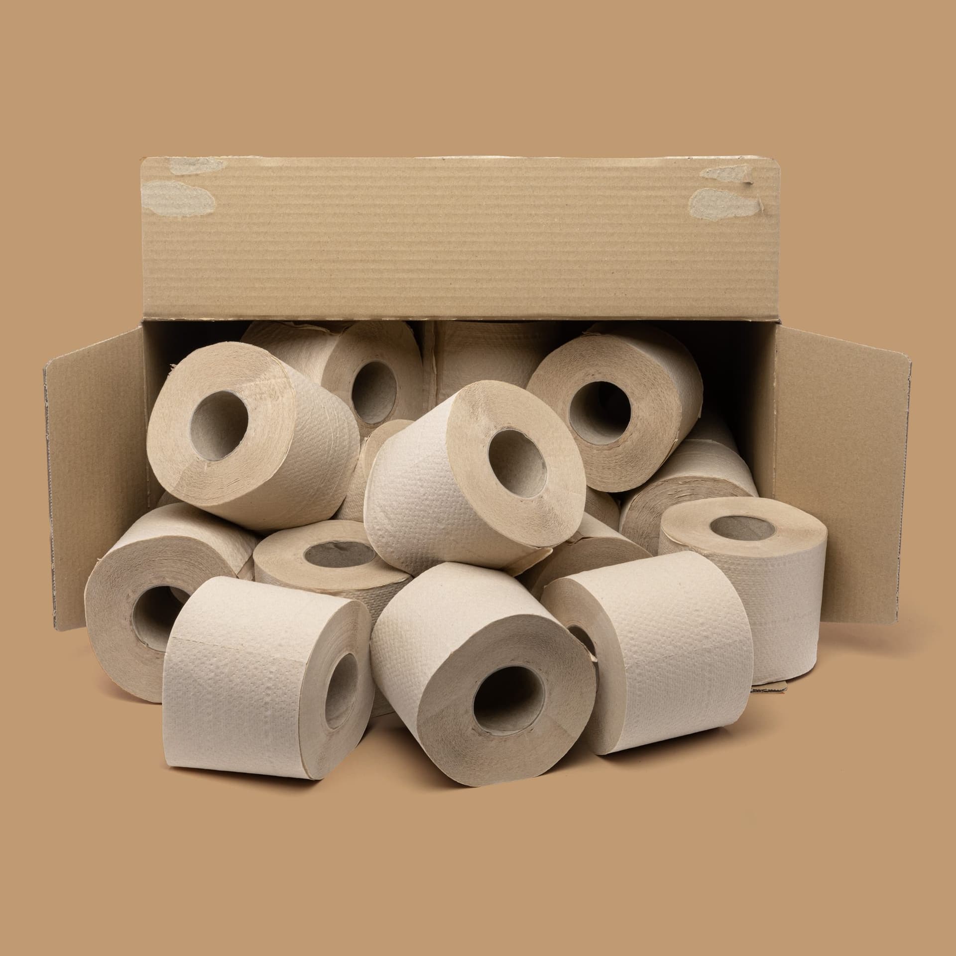 Toiletpapier The Good Roll The Panda Edition Naked bamboe 2-laags 24x300 vel naturel 3