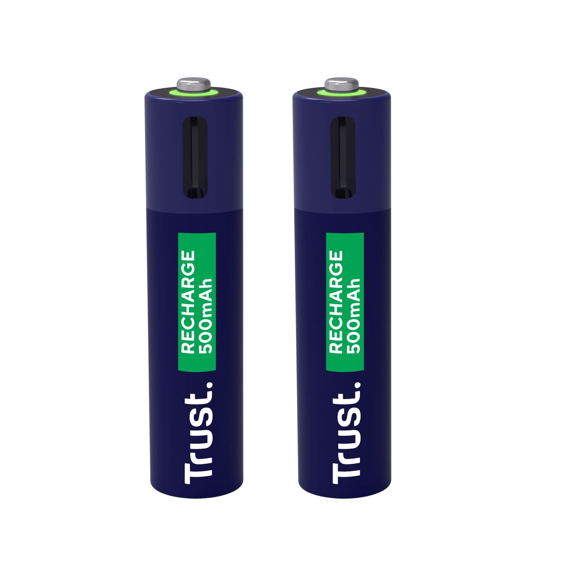 Batterij Trust USB-C oplaadbaar AAA 2 stuks