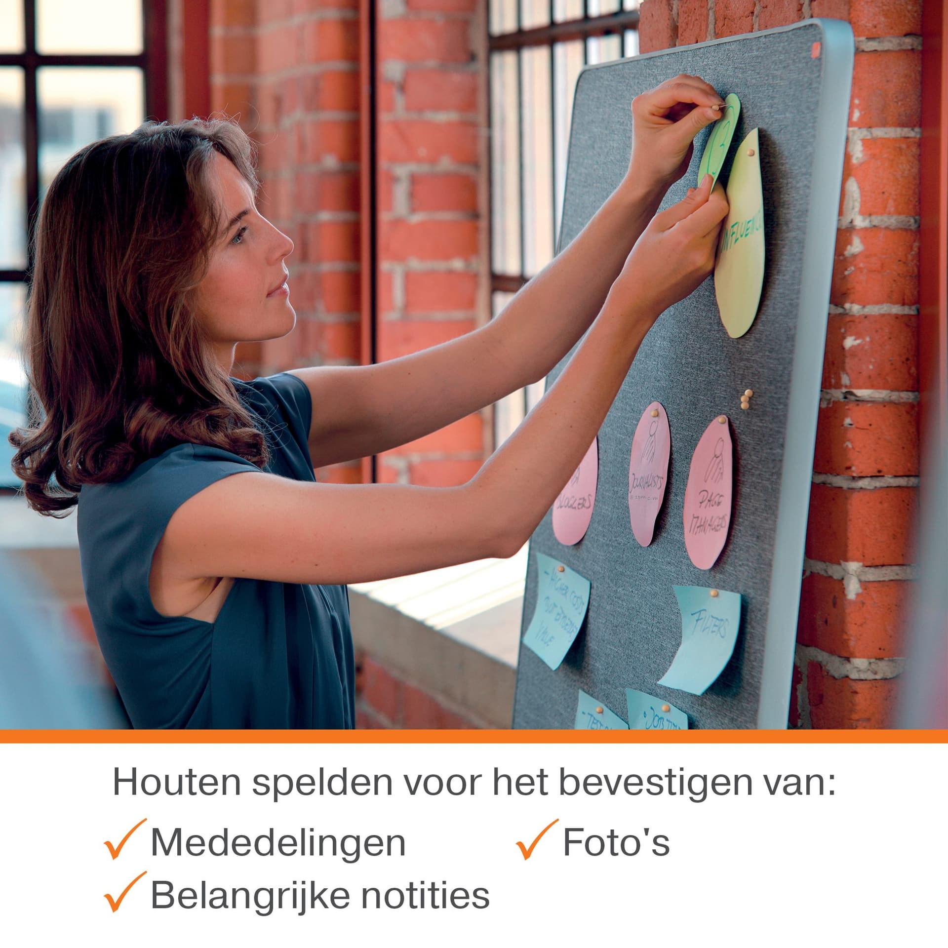 Punaises Nobo hout voor memobord 40 stuks 5