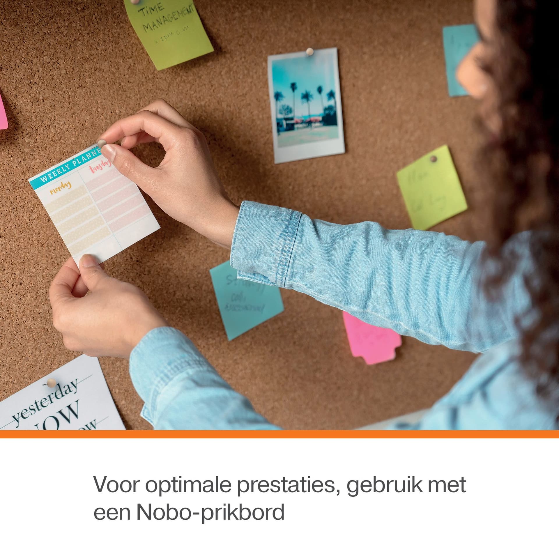 Punaises Nobo hout voor memobord 40 stuks 6