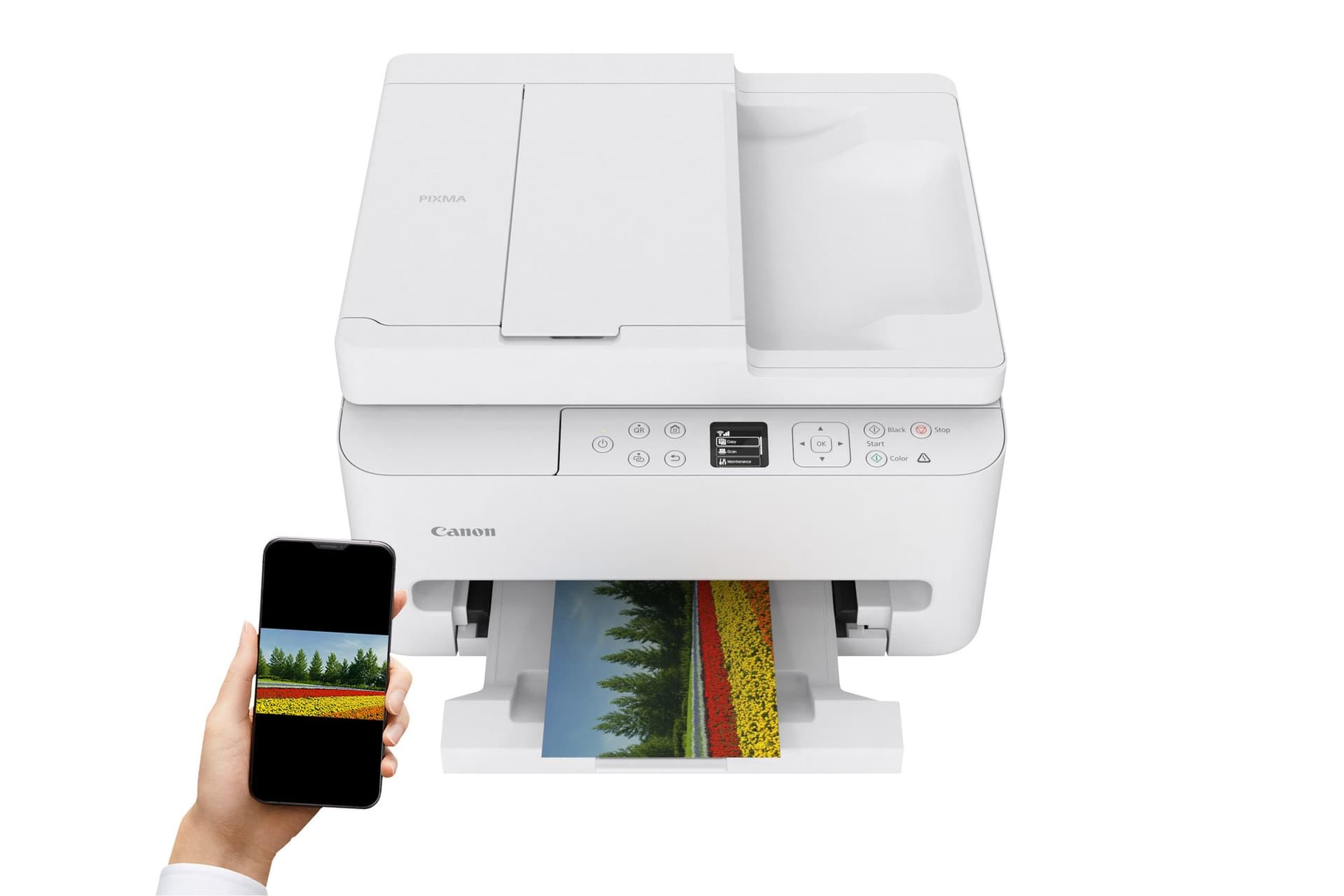 Multifunctional inktjet printer Canon PIXMA TS7550i 2