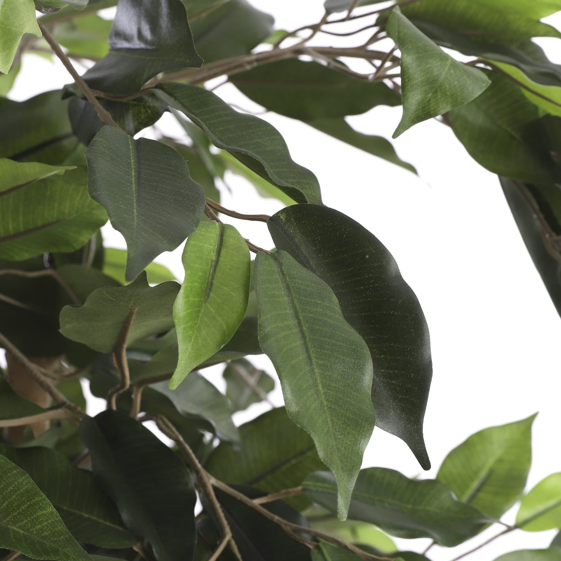Kunstplant Mica Ficus groen in plastic pot Ø85 150cm 2