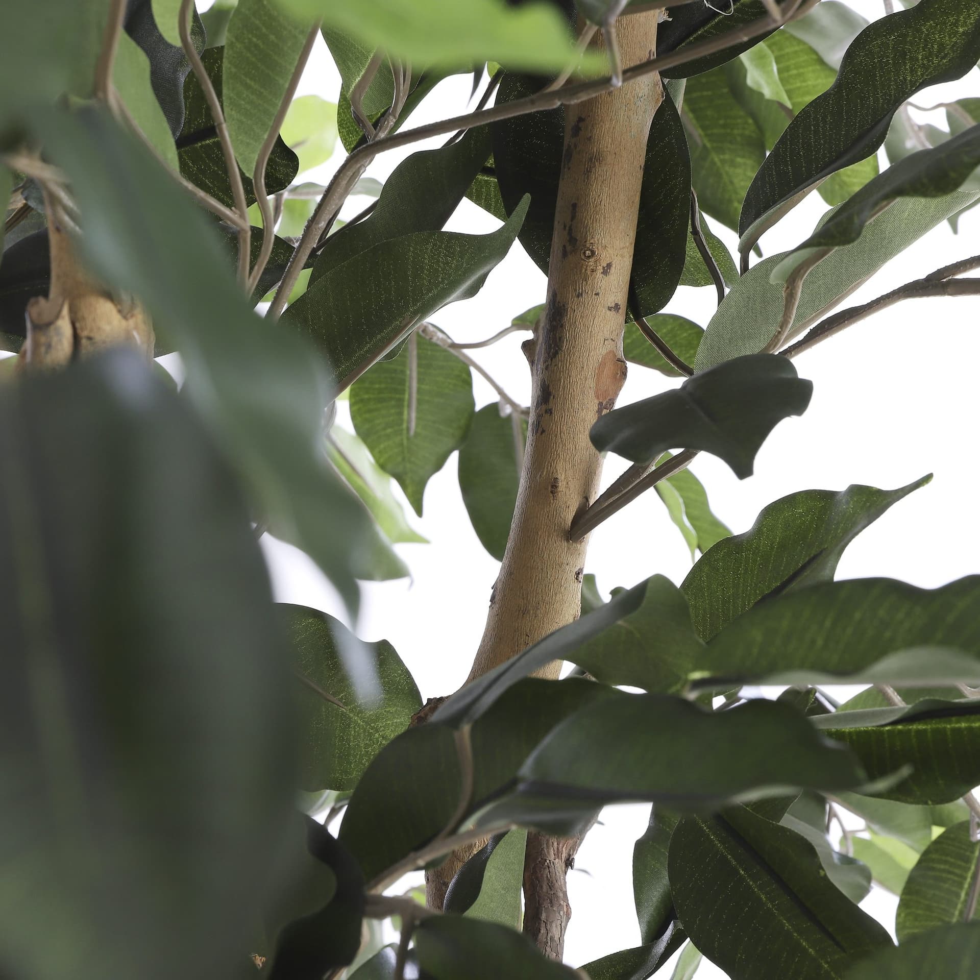 Kunstplant Mica Ficus groen in plastic pot Ø85 150cm 4
