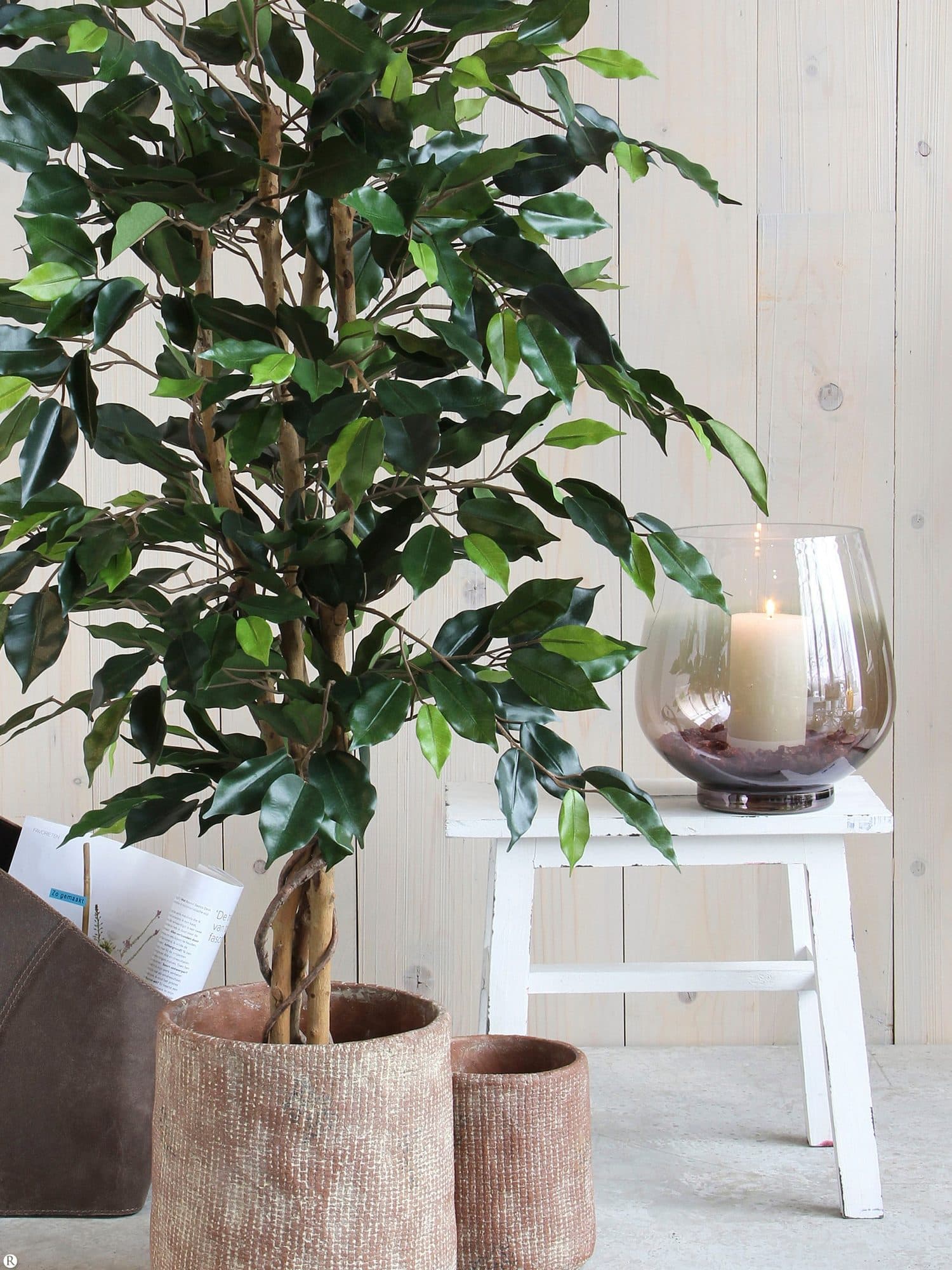 Kunstplant Mica Ficus groen in plastic pot Ø85 150cm 6