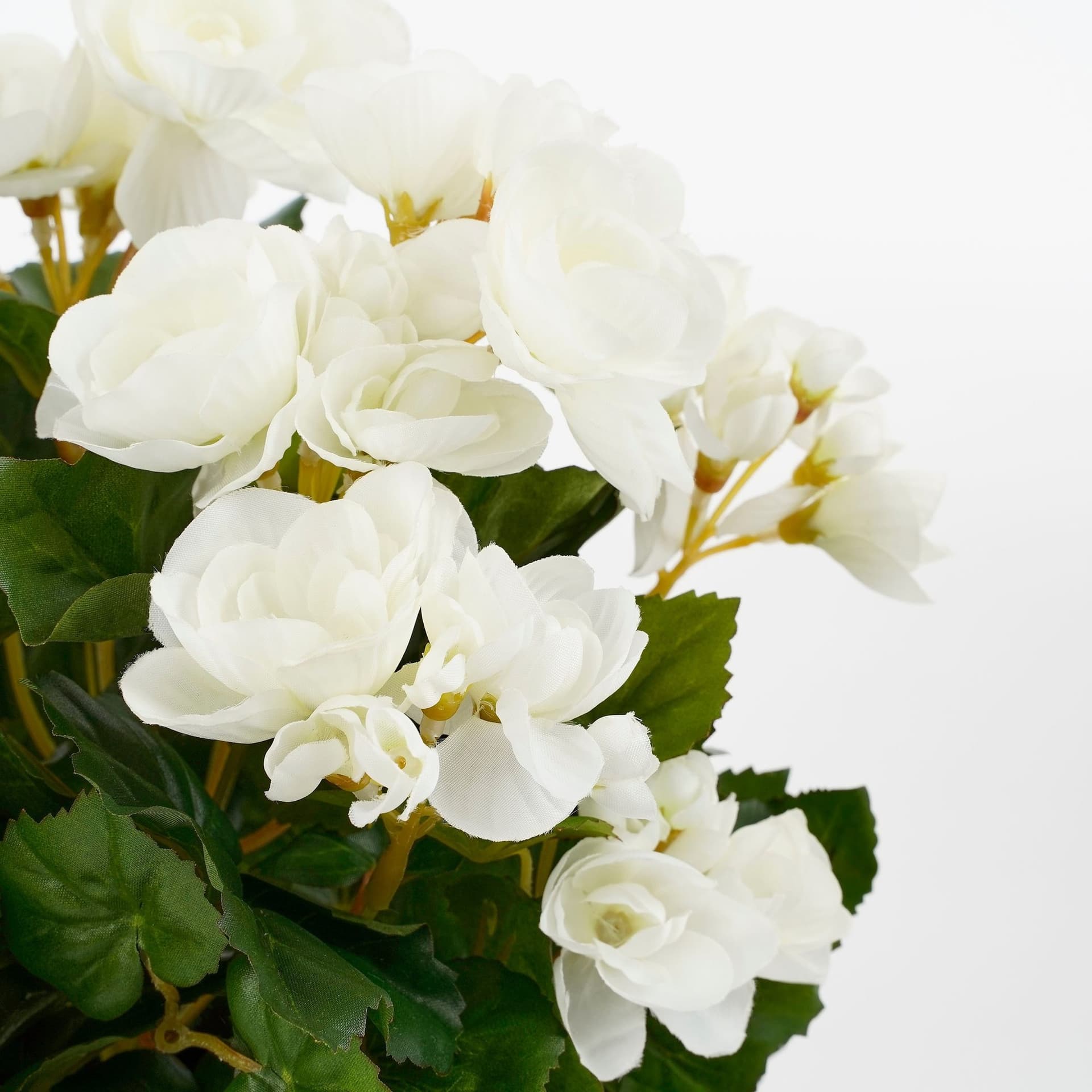 Kunstplant Mica Begonia wit in pot Stan grijs Ø25 30cm 2