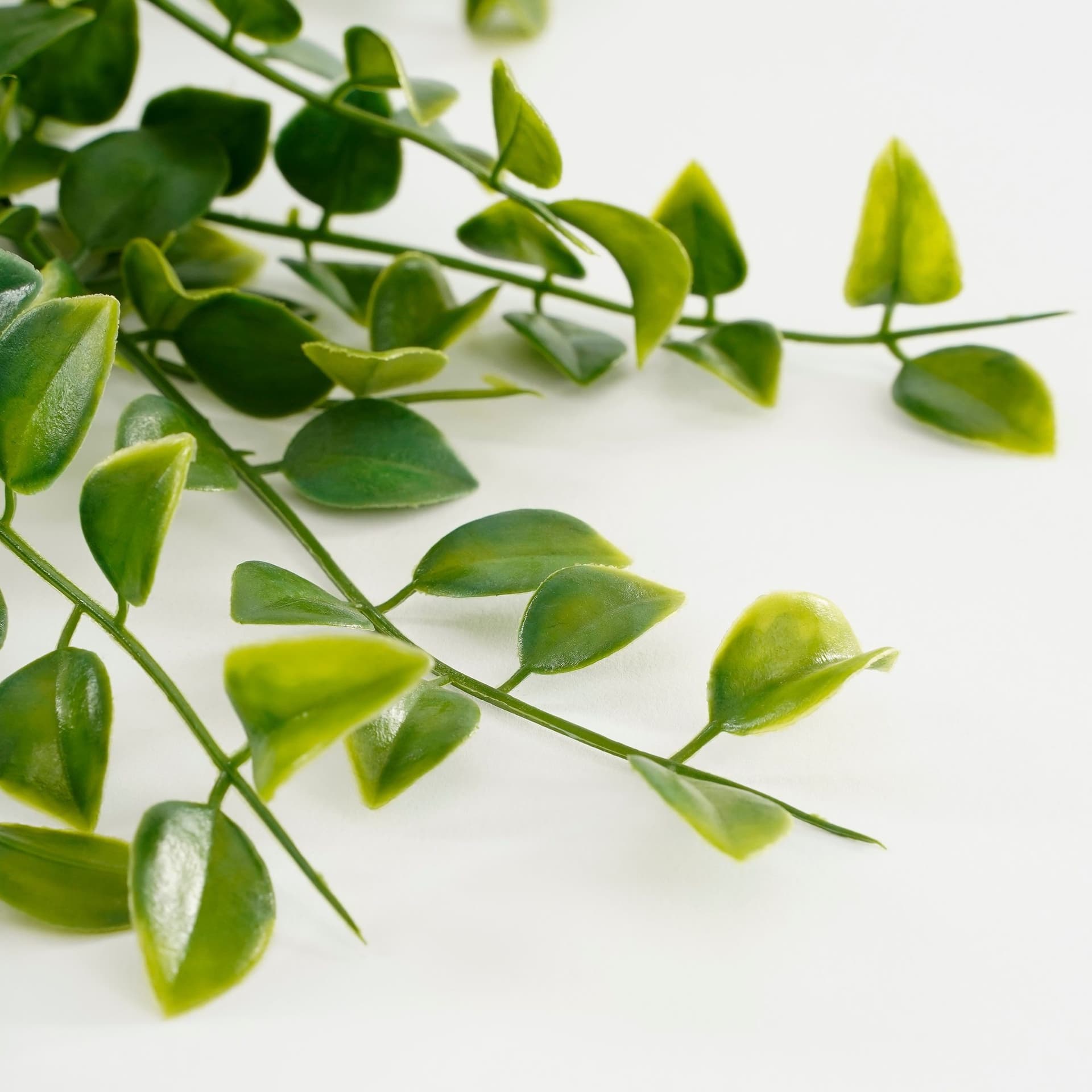 Kunstplant Mica Ficus hangend in pot groen Ø20 46cm 2