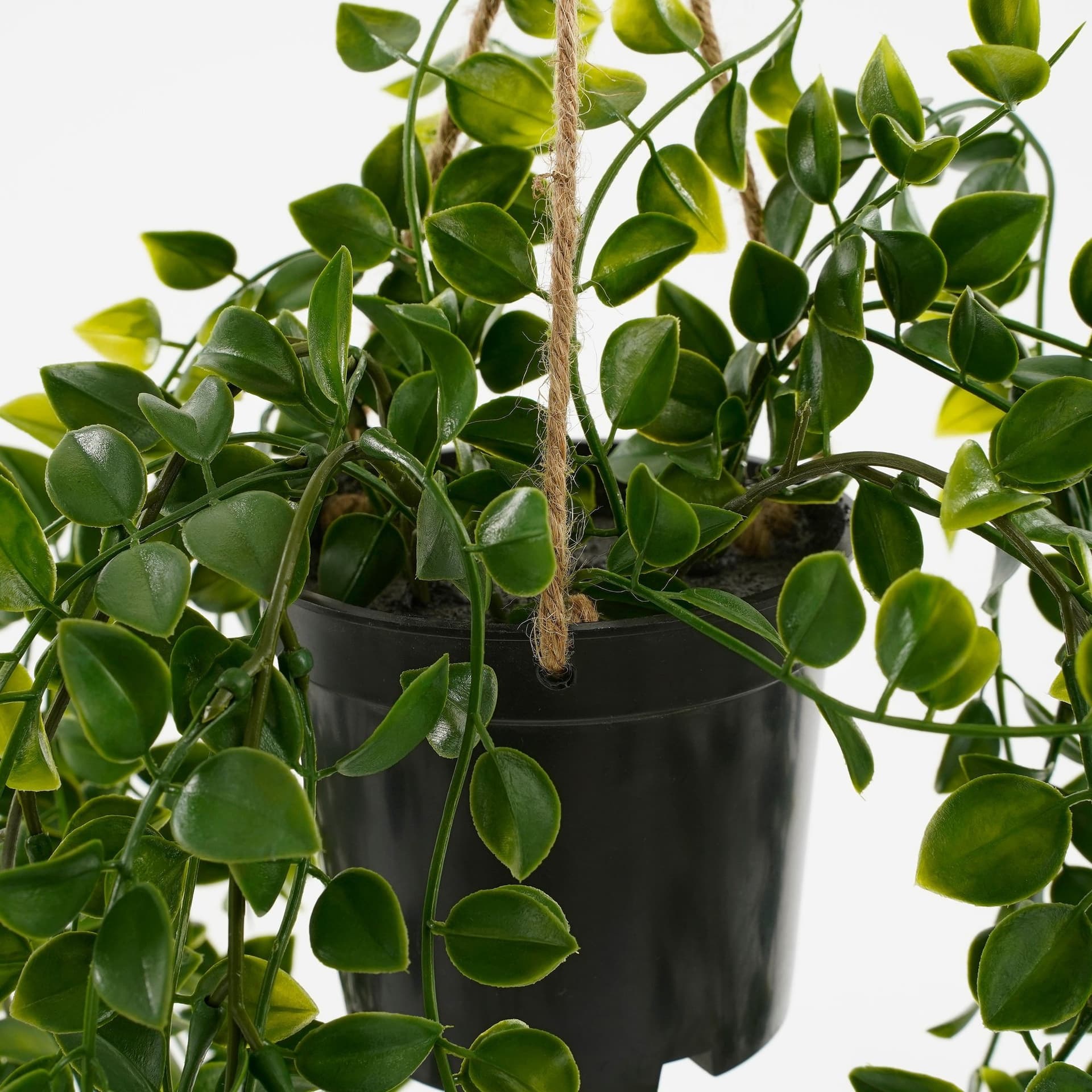 Kunstplant Mica Ficus hangend in pot groen Ø20 46cm 4