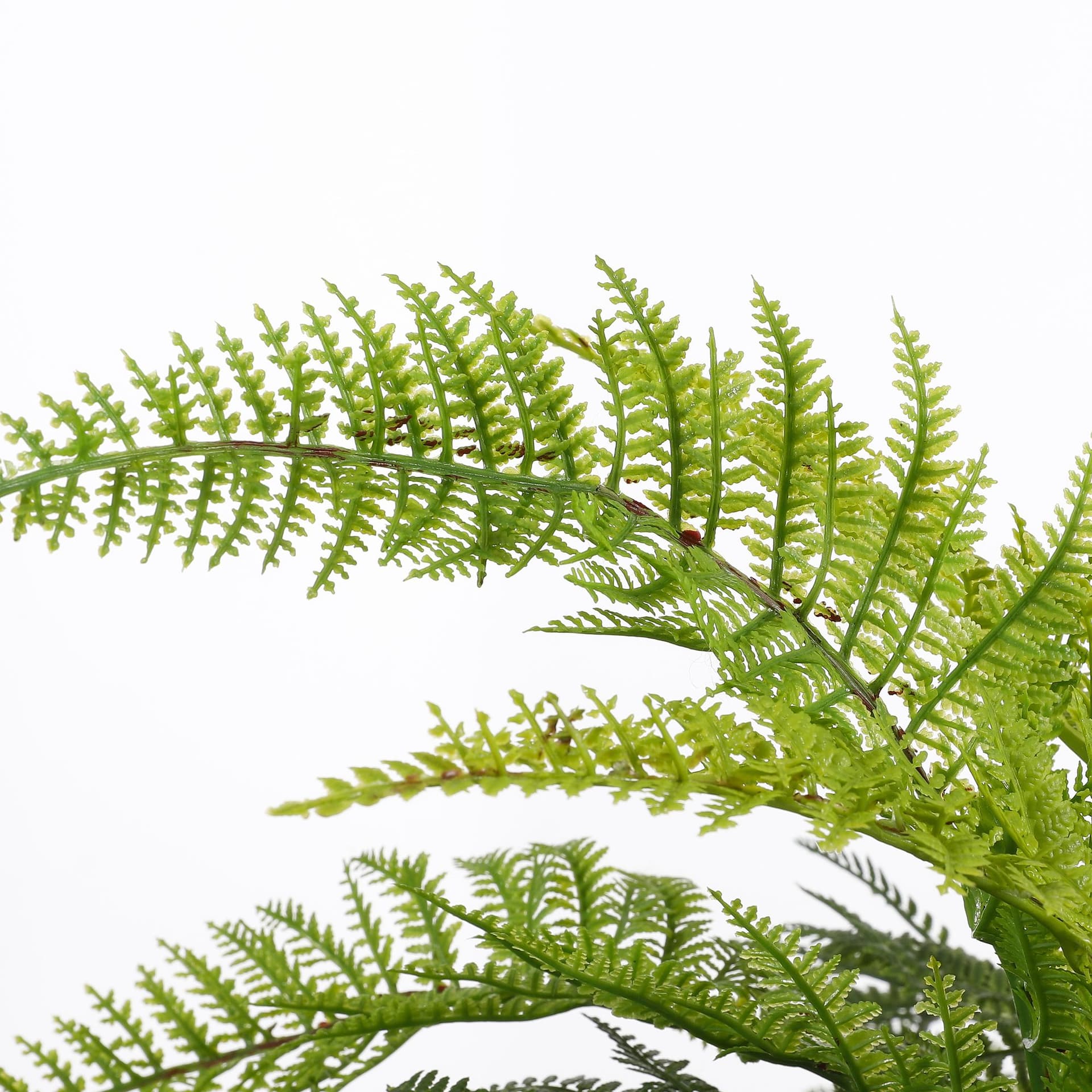 Kunstplant Mica varen groen in pot Stan grijs Ø50 38cm 2