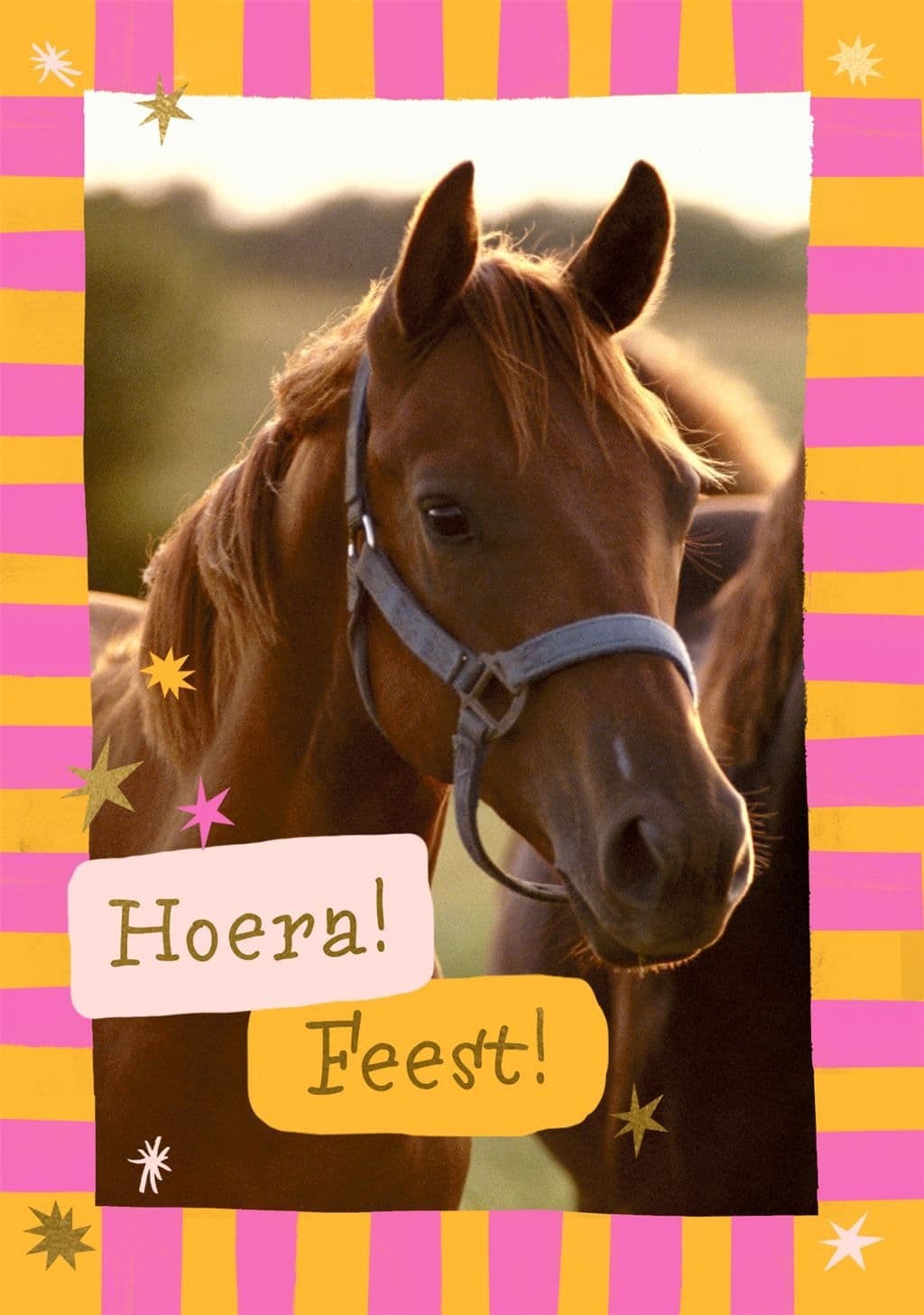 Wenskaart Hallmark uitnodiging paarden pak à 6 stuks