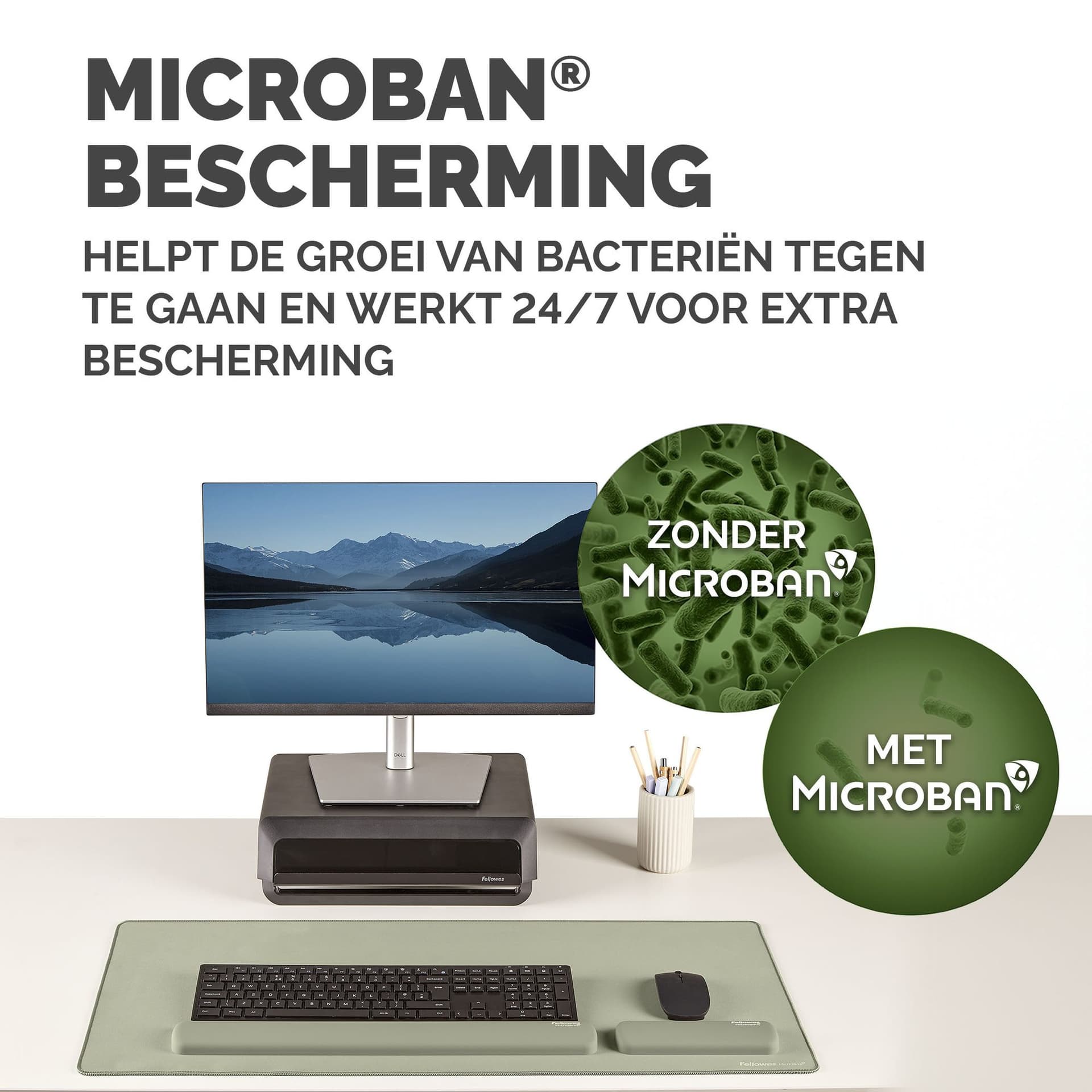 Polssteun Fellowes Breyta palm saliegroen 5