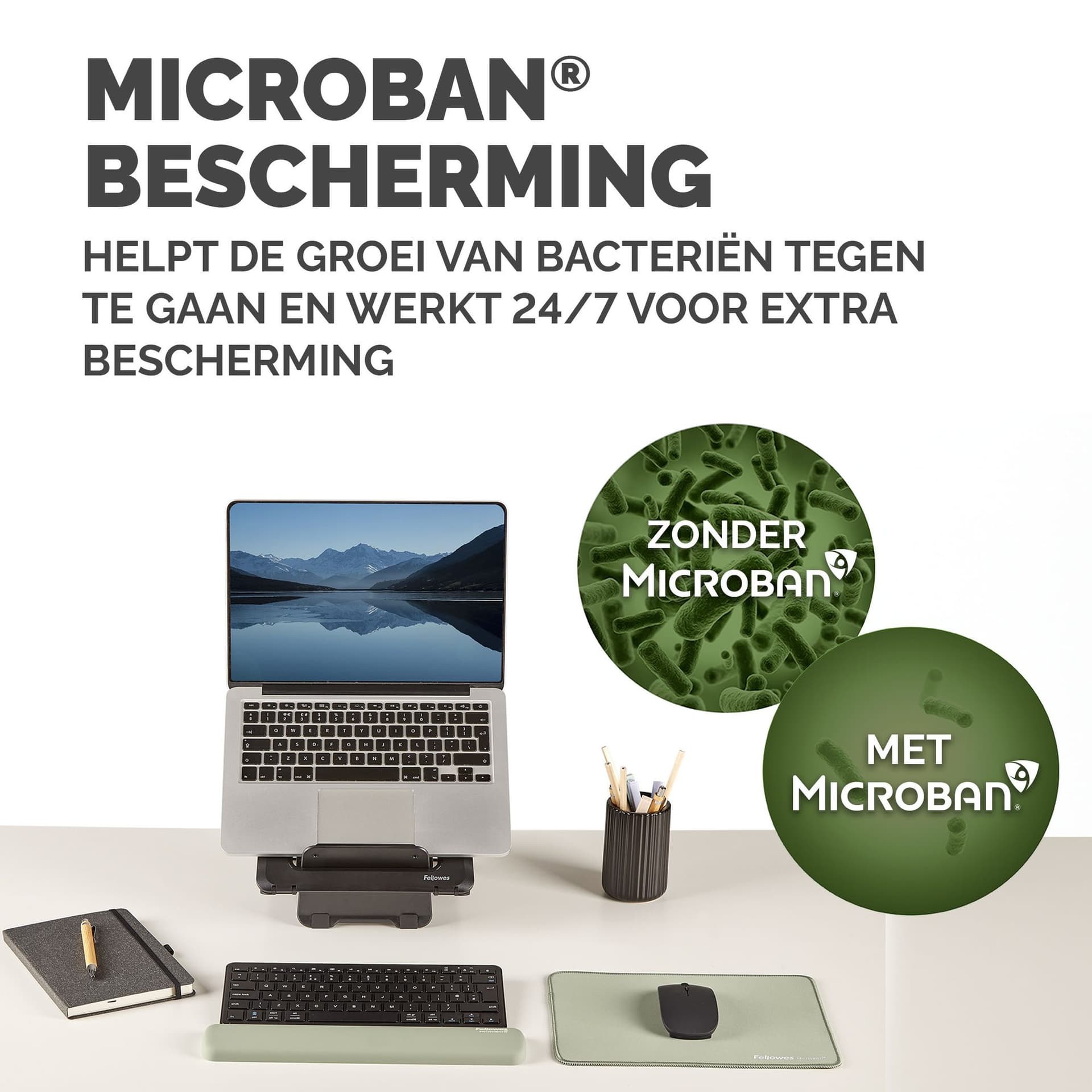 Polssteun Fellowes Breyta compact saliegroen 5