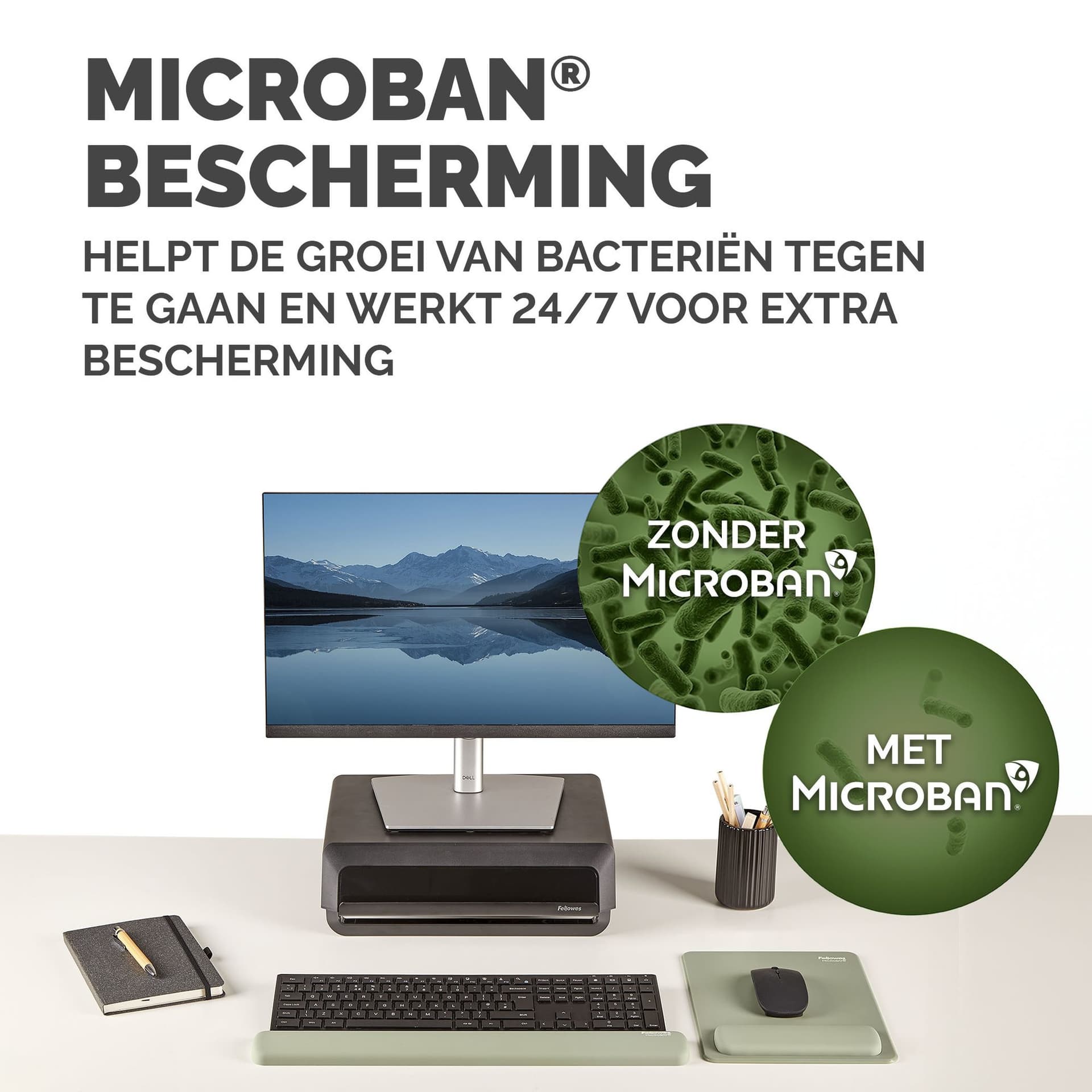 Polssteun Fellowes Breyta saliegroen 5